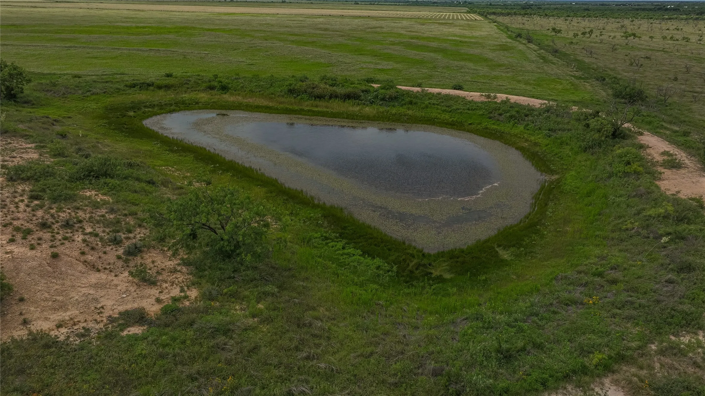 tock tank with green banks and native cover. It's a natural watering hole for livestock and a draw for deer and dove on this McCulloch County hunting ranch.