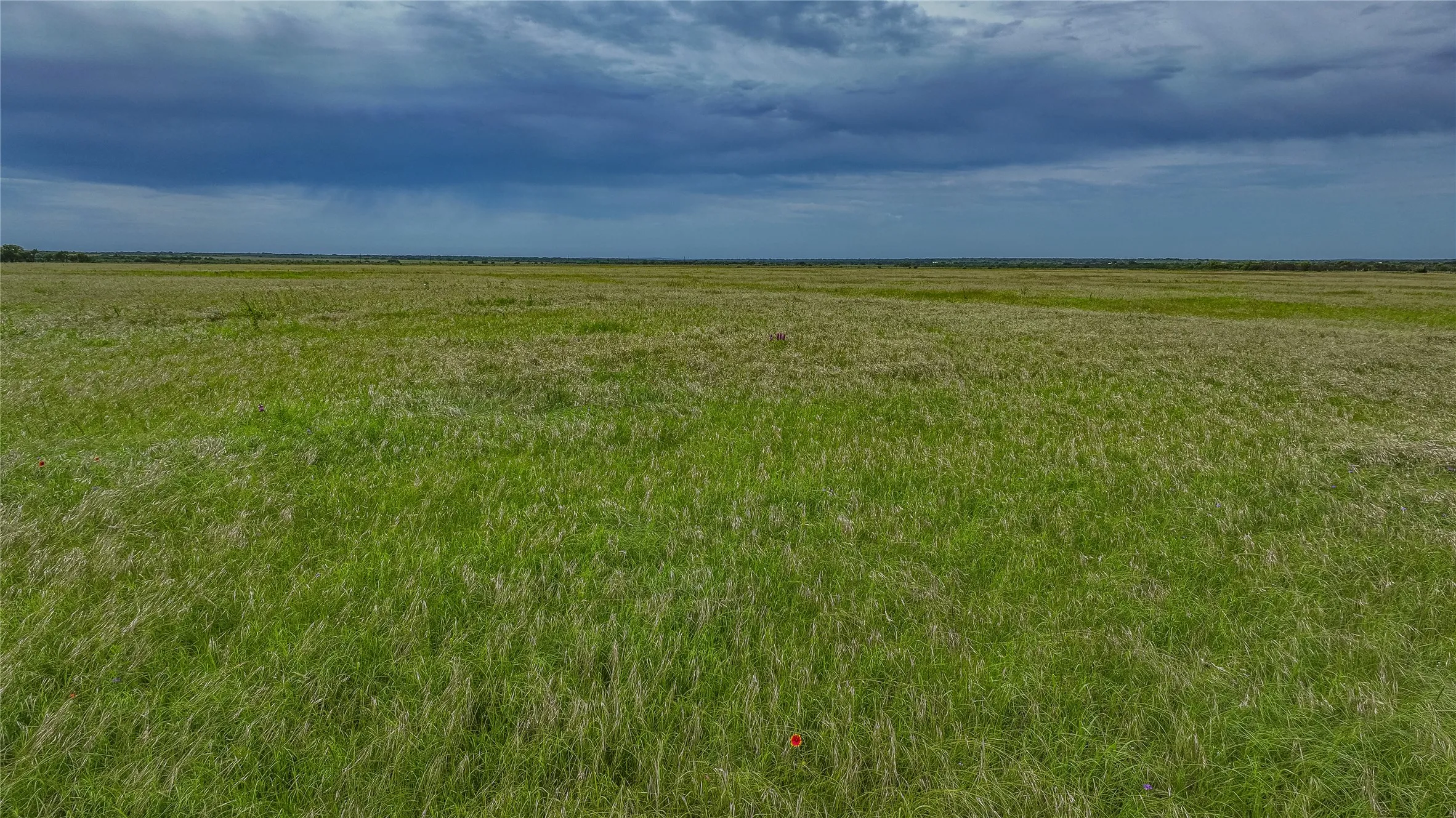 Native pasture with mesquite mottes, wildflowers and natural cover for whitetail deer, dove and quail. It's prime Central Texas hunting land and grazing.