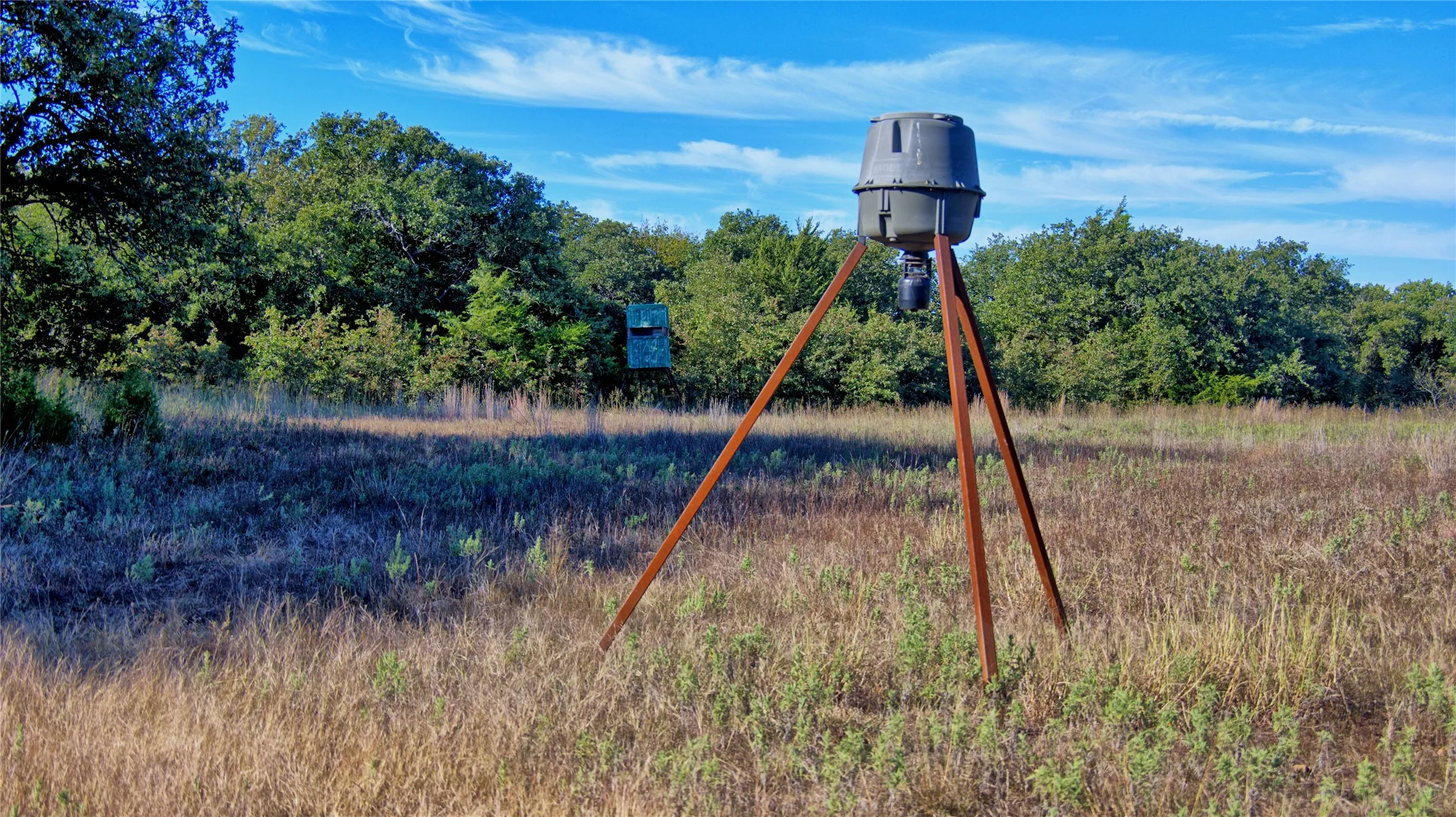 Ranch For Sale in Clay County , TBD 4 Wire Road, Bellevue, Texas 76228, 0, 0, Garage spaces, 0 Sqft, built in 1978, Price $443,900, mls#21273718, Real Estate Agent in Bellevue, Homes For Sale in Clay county, Homes For Sale in Bellevue, Realtor in Bellevue Texas, Real Estate Brokerage Independent Realty Texas, Luminita Cordes Realtor