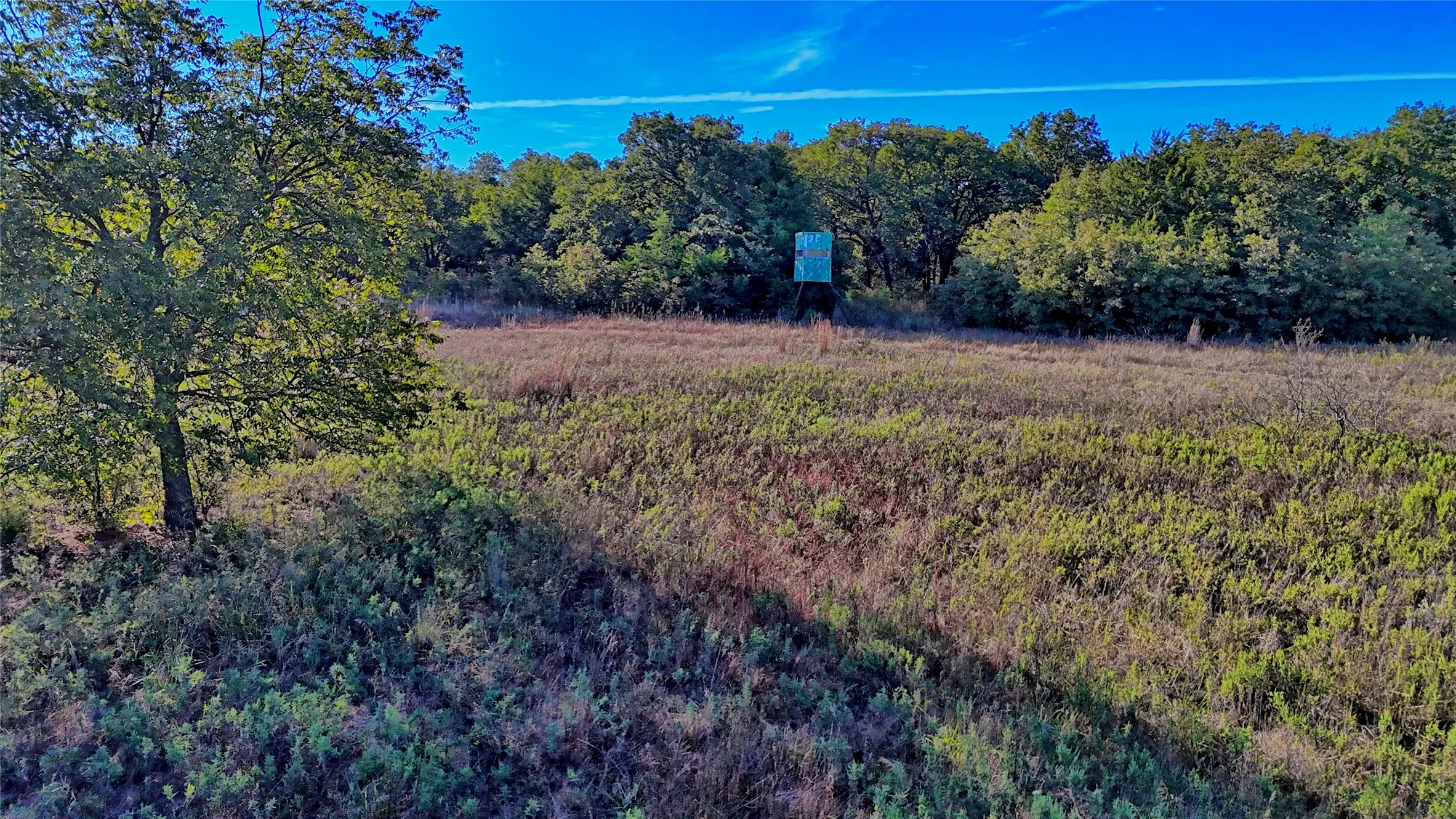 Ranch For Sale in Clay County , TBD 4 Wire Road, Bellevue, Texas 76228, 0, 0, Garage spaces, 0 Sqft, built in 1978, Price $443,900, mls#21273718, Real Estate Agent in Bellevue, Homes For Sale in Clay county, Homes For Sale in Bellevue, Realtor in Bellevue Texas, Real Estate Brokerage Independent Realty Texas, Luminita Cordes Realtor
