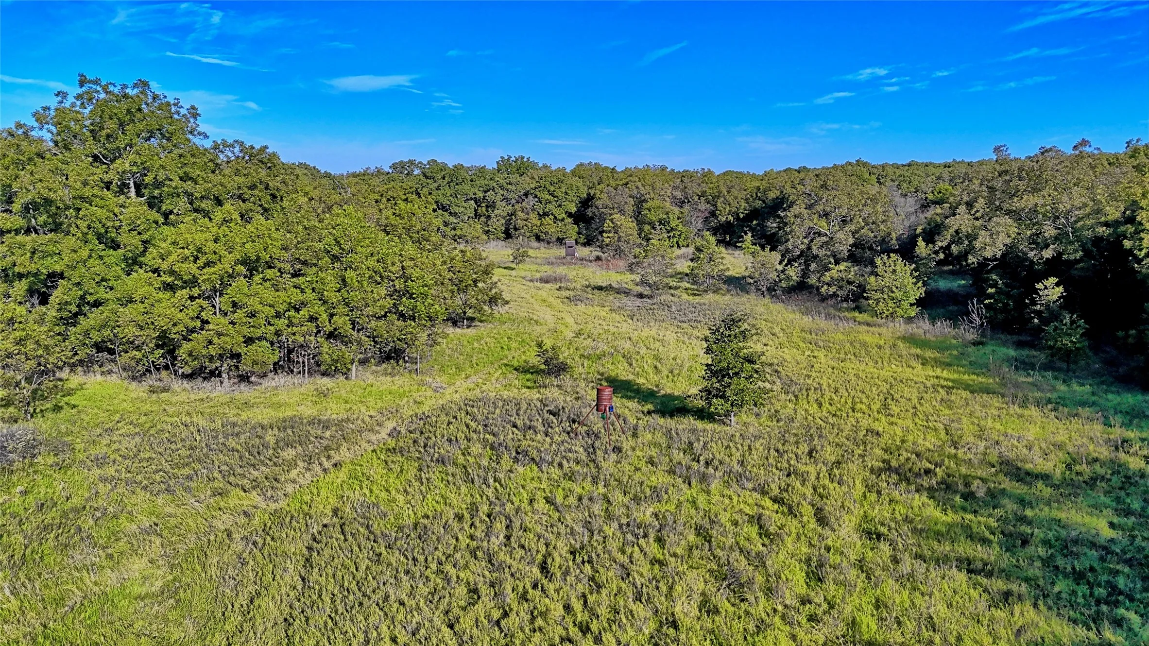 Ranch For Sale in Clay County , TBD 4 Wire Road, Bellevue, Texas 76228, 0, 0, Garage spaces, 0 Sqft, built in 1978, Price $443,900, mls#21273718, Real Estate Agent in Bellevue, Homes For Sale in Clay county, Homes For Sale in Bellevue, Realtor in Bellevue Texas, Real Estate Brokerage Independent Realty Texas, Luminita Cordes Realtor