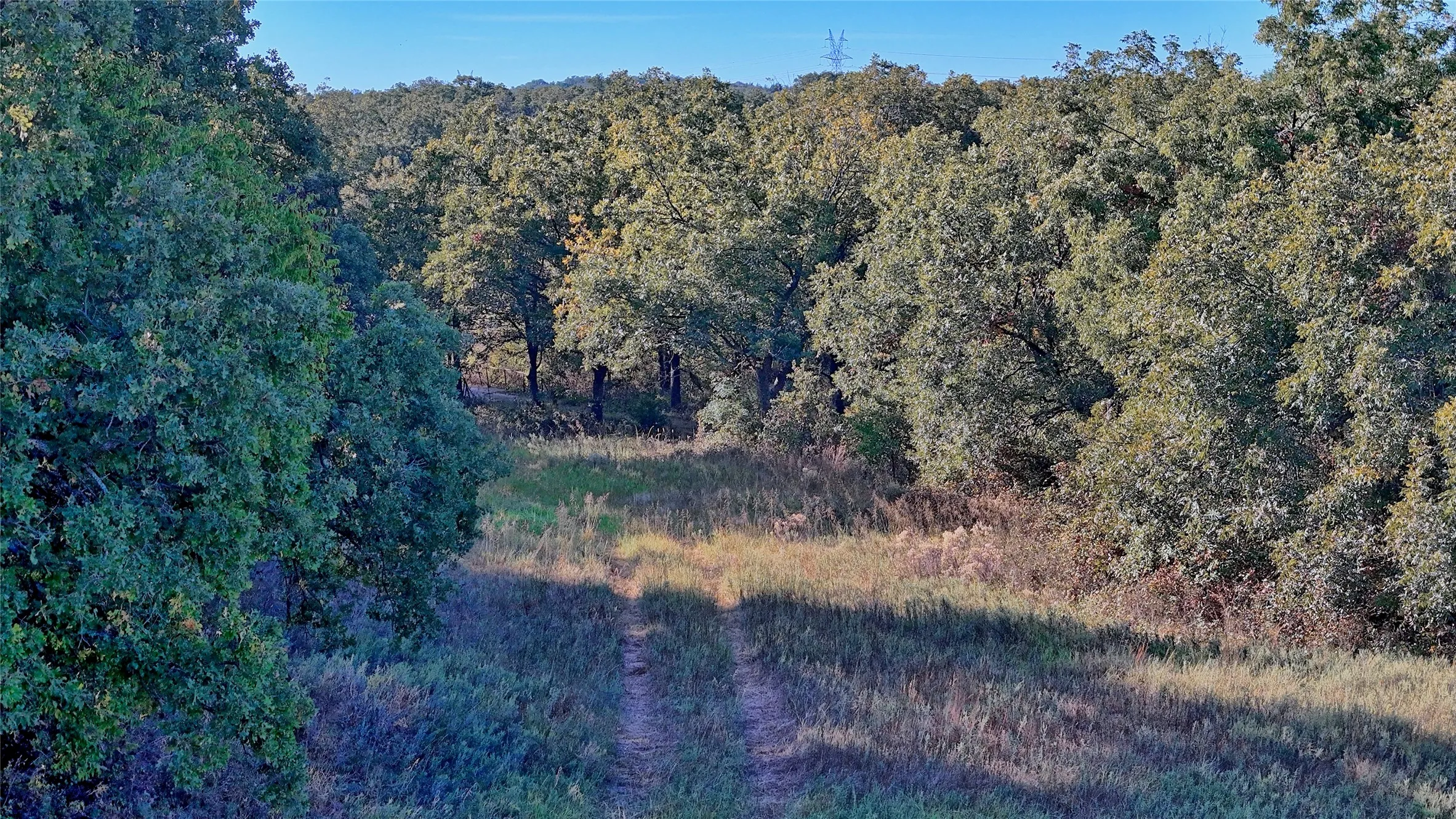 Ranch For Sale in Clay County , TBD 4 Wire Road, Bellevue, Texas 76228, 0, 0, Garage spaces, 0 Sqft, built in 1978, Price $443,900, mls#21273718, Real Estate Agent in Bellevue, Homes For Sale in Clay county, Homes For Sale in Bellevue, Realtor in Bellevue Texas, Real Estate Brokerage Independent Realty Texas, Luminita Cordes Realtor
