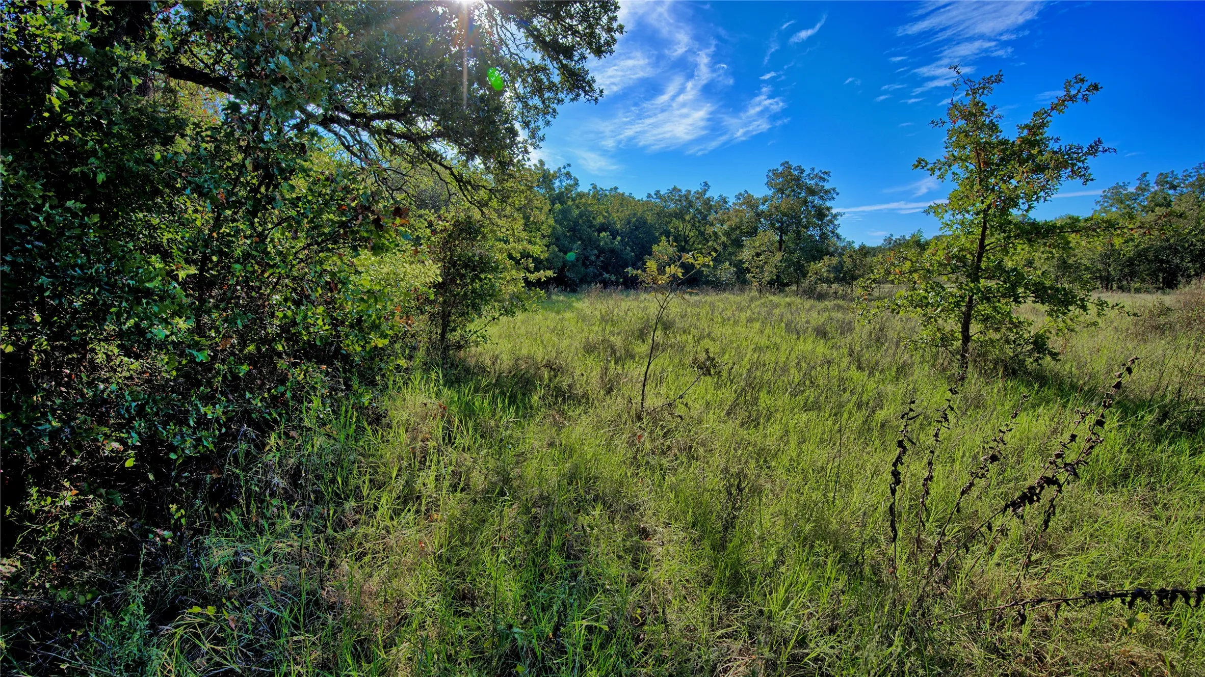 Ranch For Sale in Clay County , TBD 4 Wire Road, Bellevue, Texas 76228, 0, 0, Garage spaces, 0 Sqft, built in 1978, Price $443,900, mls#21273718, Real Estate Agent in Bellevue, Homes For Sale in Clay county, Homes For Sale in Bellevue, Realtor in Bellevue Texas, Real Estate Brokerage Independent Realty Texas, Luminita Cordes Realtor