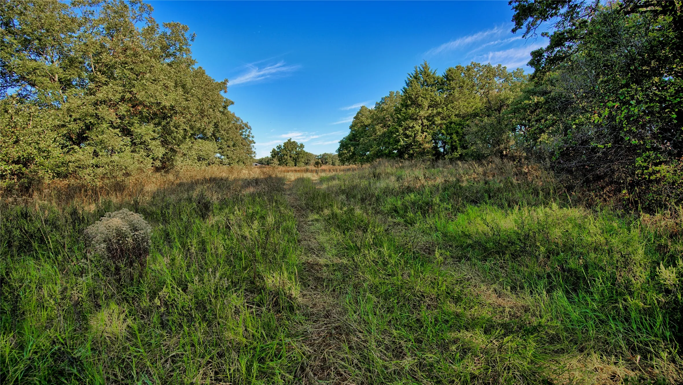 Ranch For Sale in Clay County , TBD 4 Wire Road, Bellevue, Texas 76228, 0, 0, Garage spaces, 0 Sqft, built in 1978, Price $443,900, mls#21273718, Real Estate Agent in Bellevue, Homes For Sale in Clay county, Homes For Sale in Bellevue, Realtor in Bellevue Texas, Real Estate Brokerage Independent Realty Texas, Luminita Cordes Realtor