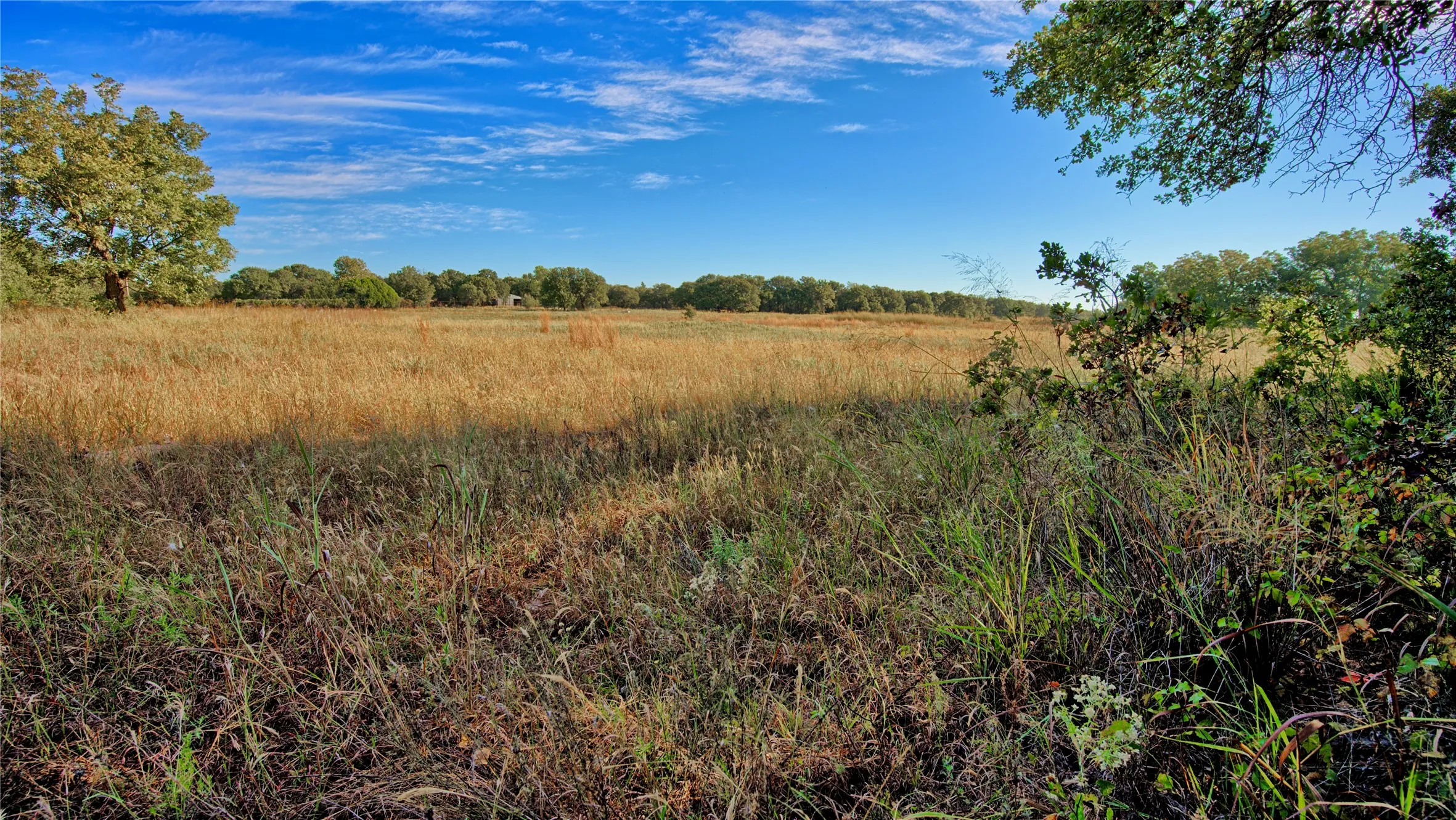 Ranch For Sale in Clay County , TBD 4 Wire Road, Bellevue, Texas 76228, 0, 0, Garage spaces, 0 Sqft, built in 1978, Price $443,900, mls#21273718, Real Estate Agent in Bellevue, Homes For Sale in Clay county, Homes For Sale in Bellevue, Realtor in Bellevue Texas, Real Estate Brokerage Independent Realty Texas, Luminita Cordes Realtor