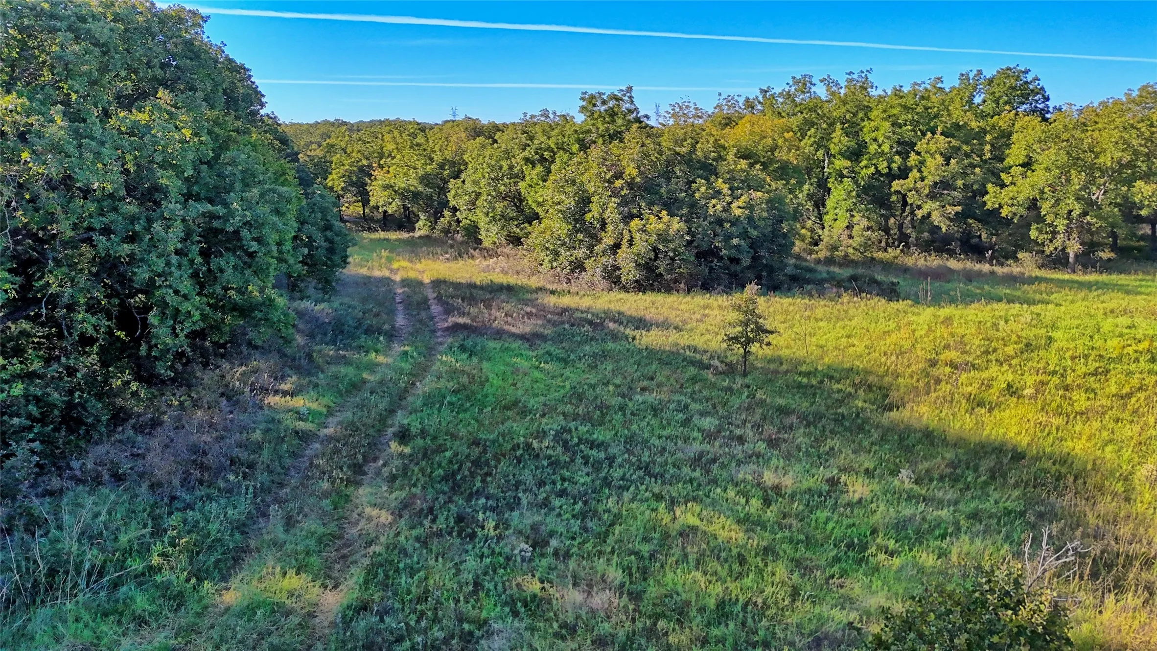 Ranch For Sale in Clay County , TBD 4 Wire Road, Bellevue, Texas 76228, 0, 0, Garage spaces, 0 Sqft, built in 1978, Price $443,900, mls#21273718, Real Estate Agent in Bellevue, Homes For Sale in Clay county, Homes For Sale in Bellevue, Realtor in Bellevue Texas, Real Estate Brokerage Independent Realty Texas, Luminita Cordes Realtor
