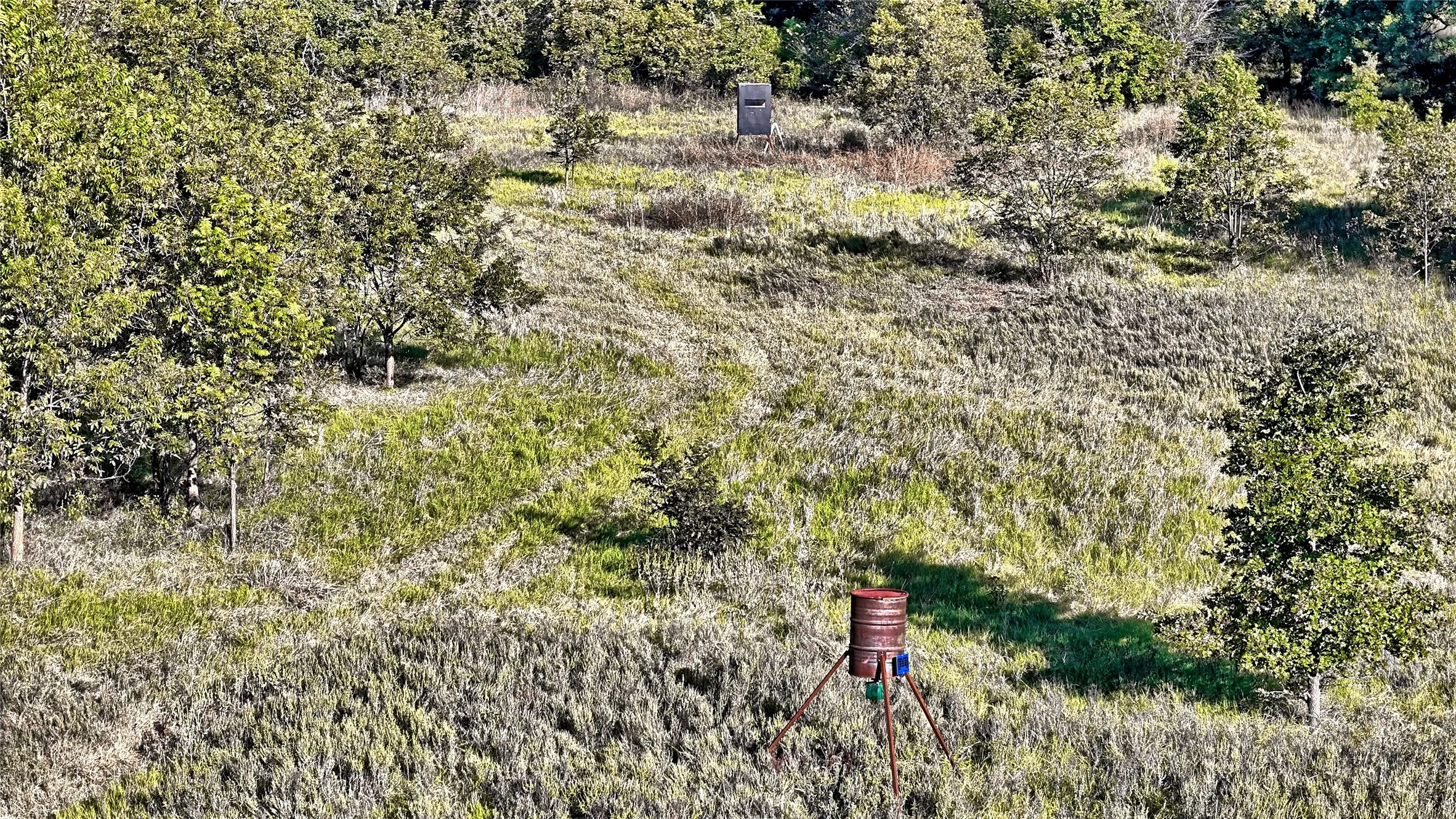 Ranch For Sale in Clay County , TBD 4 Wire Road, Bellevue, Texas 76228, 0, 0, Garage spaces, 0 Sqft, built in 1978, Price $443,900, mls#21273718, Real Estate Agent in Bellevue, Homes For Sale in Clay county, Homes For Sale in Bellevue, Realtor in Bellevue Texas, Real Estate Brokerage Independent Realty Texas, Luminita Cordes Realtor