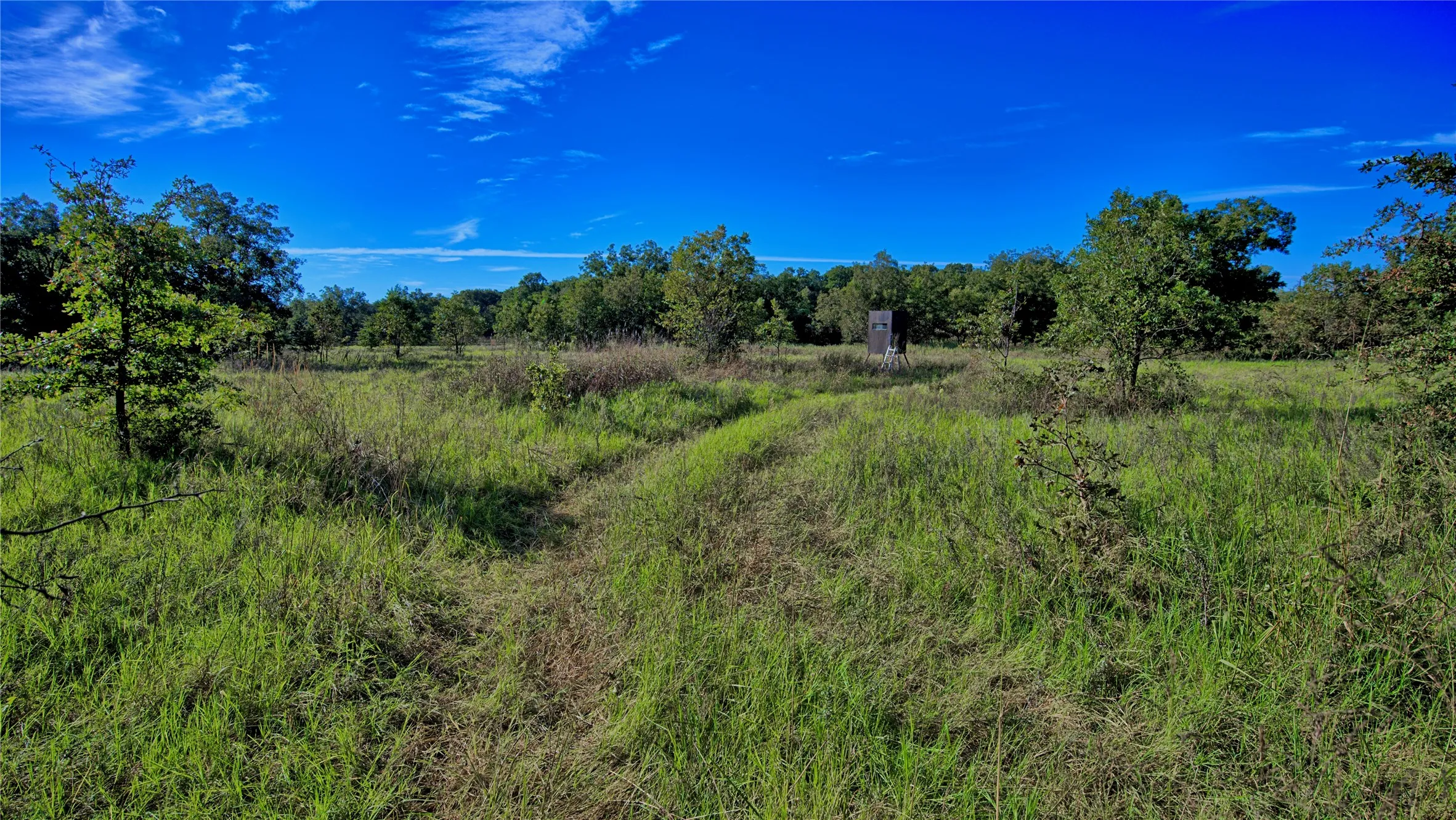 Ranch For Sale in Clay County , TBD 4 Wire Road, Bellevue, Texas 76228, 0, 0, Garage spaces, 0 Sqft, built in 1978, Price $443,900, mls#21273718, Real Estate Agent in Bellevue, Homes For Sale in Clay county, Homes For Sale in Bellevue, Realtor in Bellevue Texas, Real Estate Brokerage Independent Realty Texas, Luminita Cordes Realtor