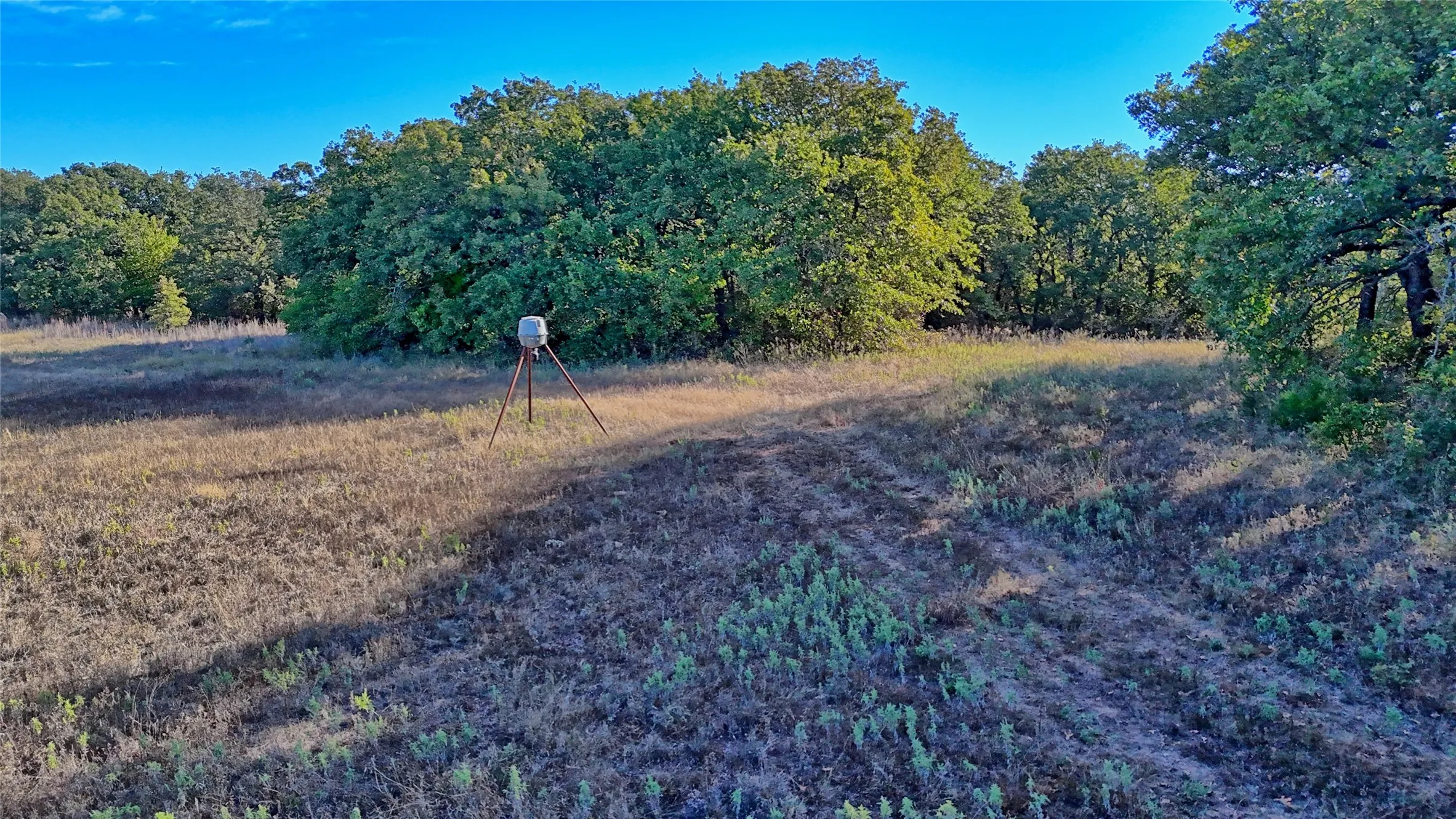 Ranch For Sale in Clay County , TBD 4 Wire Road, Bellevue, Texas 76228, 0, 0, Garage spaces, 0 Sqft, built in 1978, Price $443,900, mls#21273718, Real Estate Agent in Bellevue, Homes For Sale in Clay county, Homes For Sale in Bellevue, Realtor in Bellevue Texas, Real Estate Brokerage Independent Realty Texas, Luminita Cordes Realtor