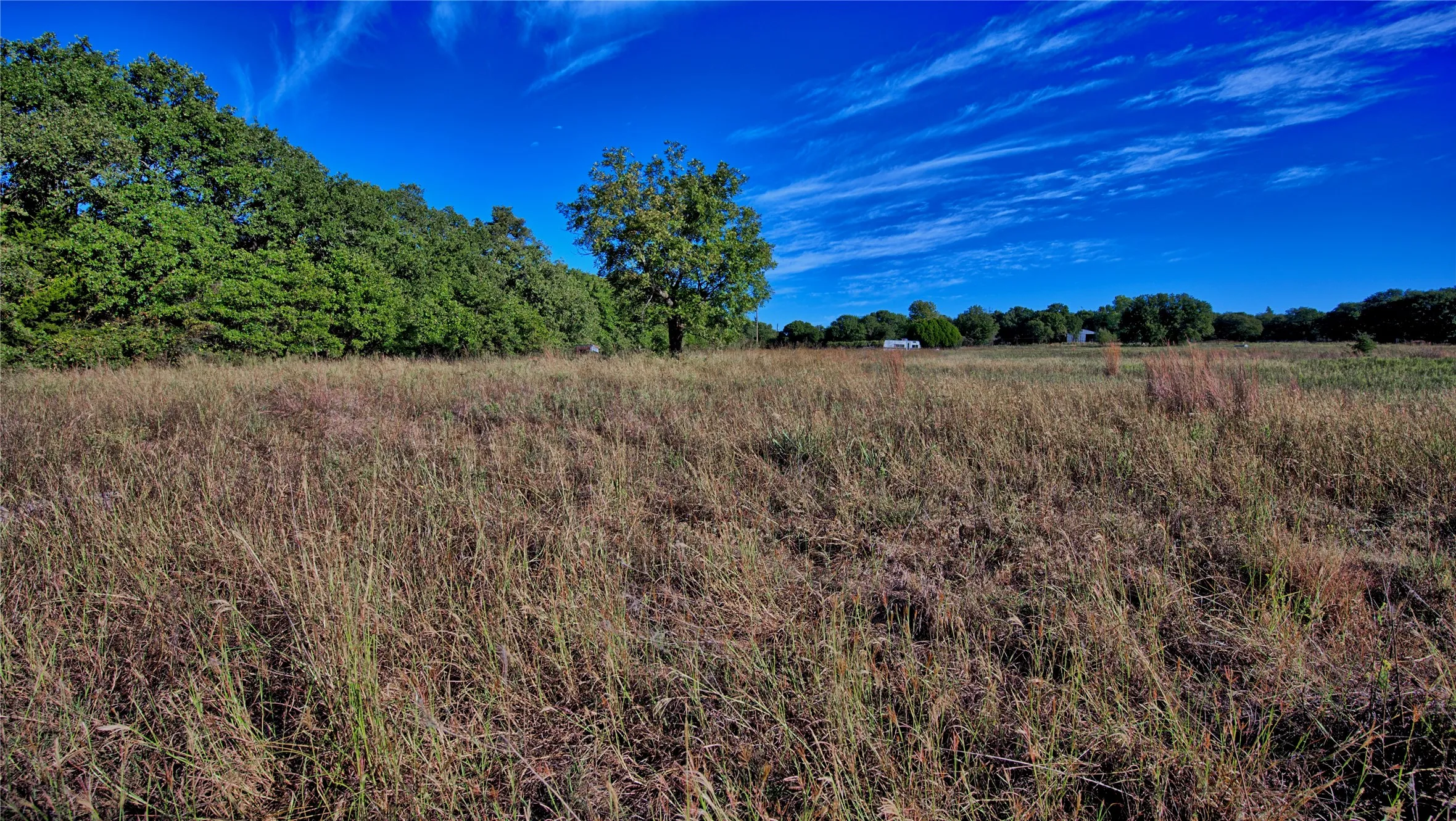 Ranch For Sale in Clay County , TBD 4 Wire Road, Bellevue, Texas 76228, 0, 0, Garage spaces, 0 Sqft, built in 1978, Price $443,900, mls#21273718, Real Estate Agent in Bellevue, Homes For Sale in Clay county, Homes For Sale in Bellevue, Realtor in Bellevue Texas, Real Estate Brokerage Independent Realty Texas, Luminita Cordes Realtor