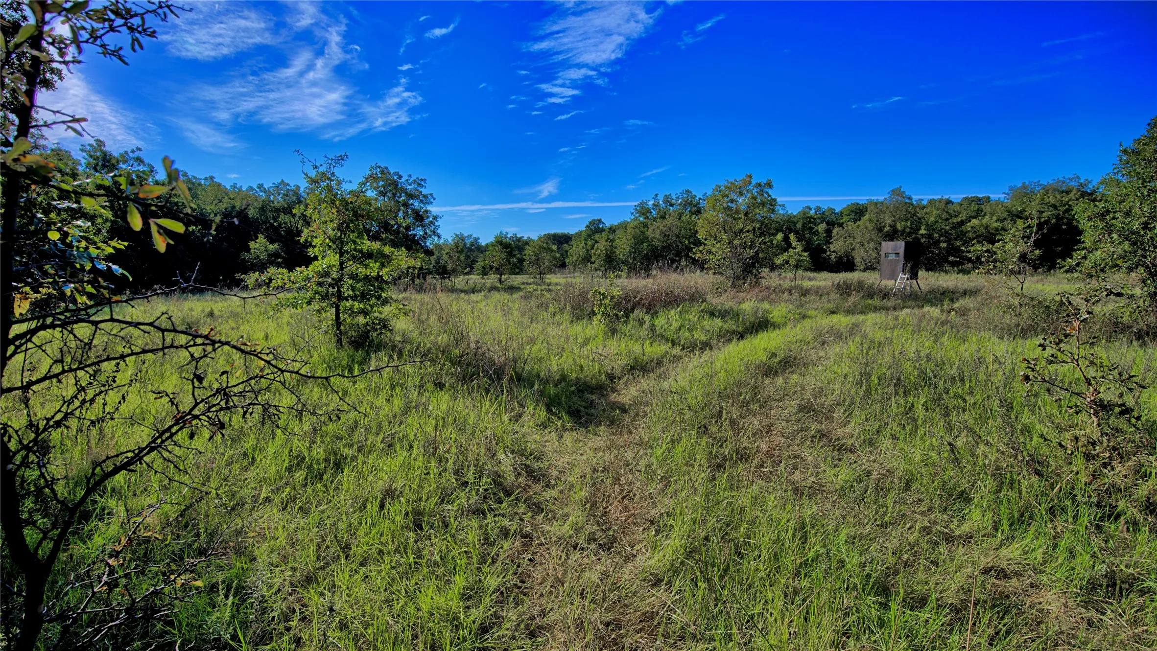 Ranch For Sale in Clay County , TBD 4 Wire Road, Bellevue, Texas 76228, 0, 0, Garage spaces, 0 Sqft, built in 1978, Price $443,900, mls#21273718, Real Estate Agent in Bellevue, Homes For Sale in Clay county, Homes For Sale in Bellevue, Realtor in Bellevue Texas, Real Estate Brokerage Independent Realty Texas, Luminita Cordes Realtor
