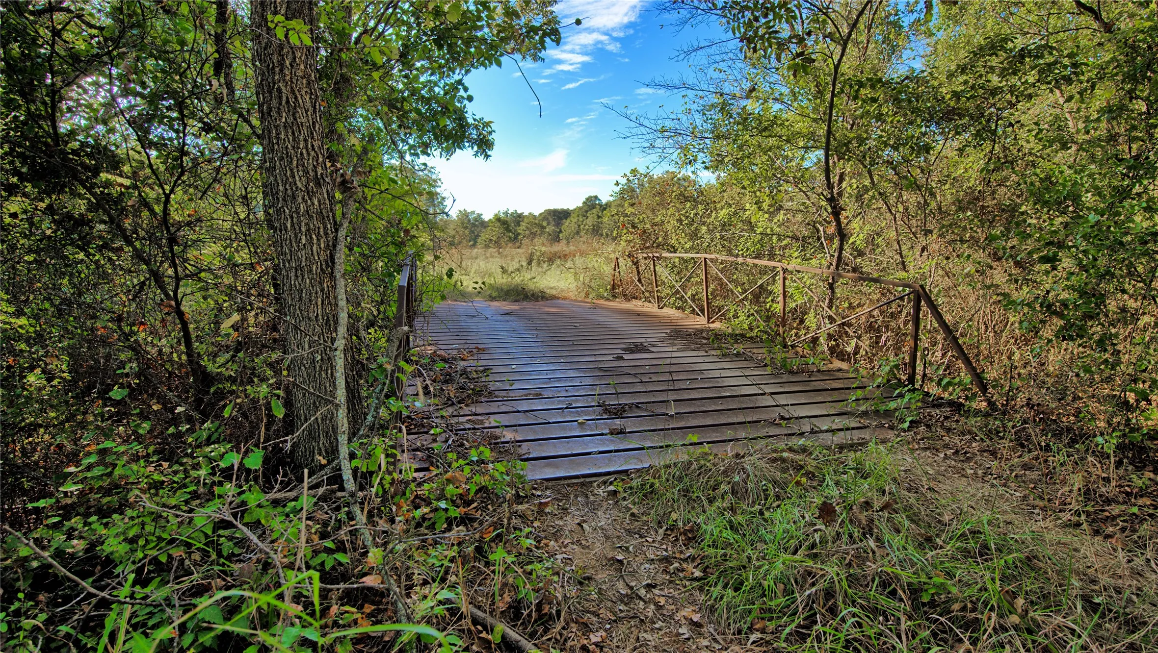 Ranch For Sale in Clay County , TBD 4 Wire Road, Bellevue, Texas 76228, 0, 0, Garage spaces, 0 Sqft, built in 1978, Price $443,900, mls#21273718, Real Estate Agent in Bellevue, Homes For Sale in Clay county, Homes For Sale in Bellevue, Realtor in Bellevue Texas, Real Estate Brokerage Independent Realty Texas, Luminita Cordes Realtor