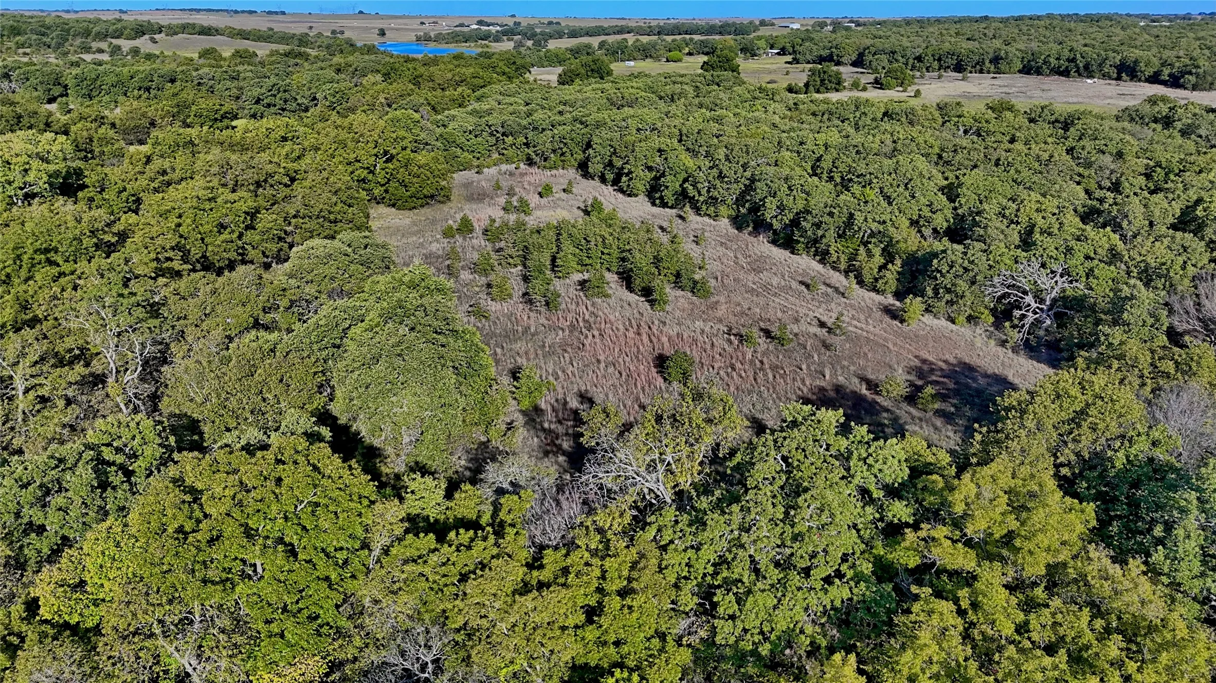 Ranch For Sale in Clay County , TBD 4 Wire Road, Bellevue, Texas 76228, 0, 0, Garage spaces, 0 Sqft, built in 1978, Price $443,900, mls#21273718, Real Estate Agent in Bellevue, Homes For Sale in Clay county, Homes For Sale in Bellevue, Realtor in Bellevue Texas, Real Estate Brokerage Independent Realty Texas, Luminita Cordes Realtor