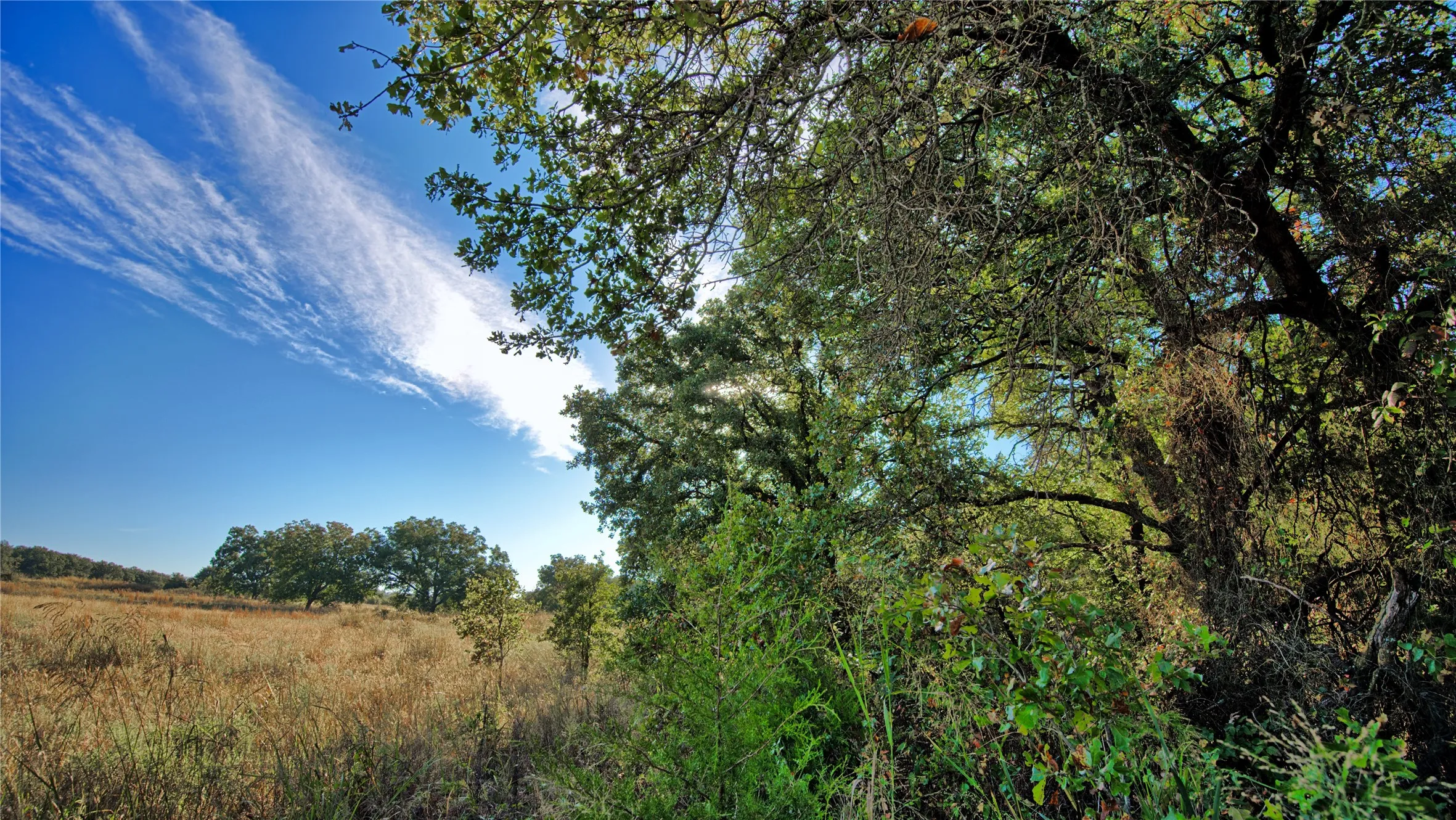Ranch For Sale in Clay County , TBD 4 Wire Road, Bellevue, Texas 76228, 0, 0, Garage spaces, 0 Sqft, built in 1978, Price $443,900, mls#21273718, Real Estate Agent in Bellevue, Homes For Sale in Clay county, Homes For Sale in Bellevue, Realtor in Bellevue Texas, Real Estate Brokerage Independent Realty Texas, Luminita Cordes Realtor