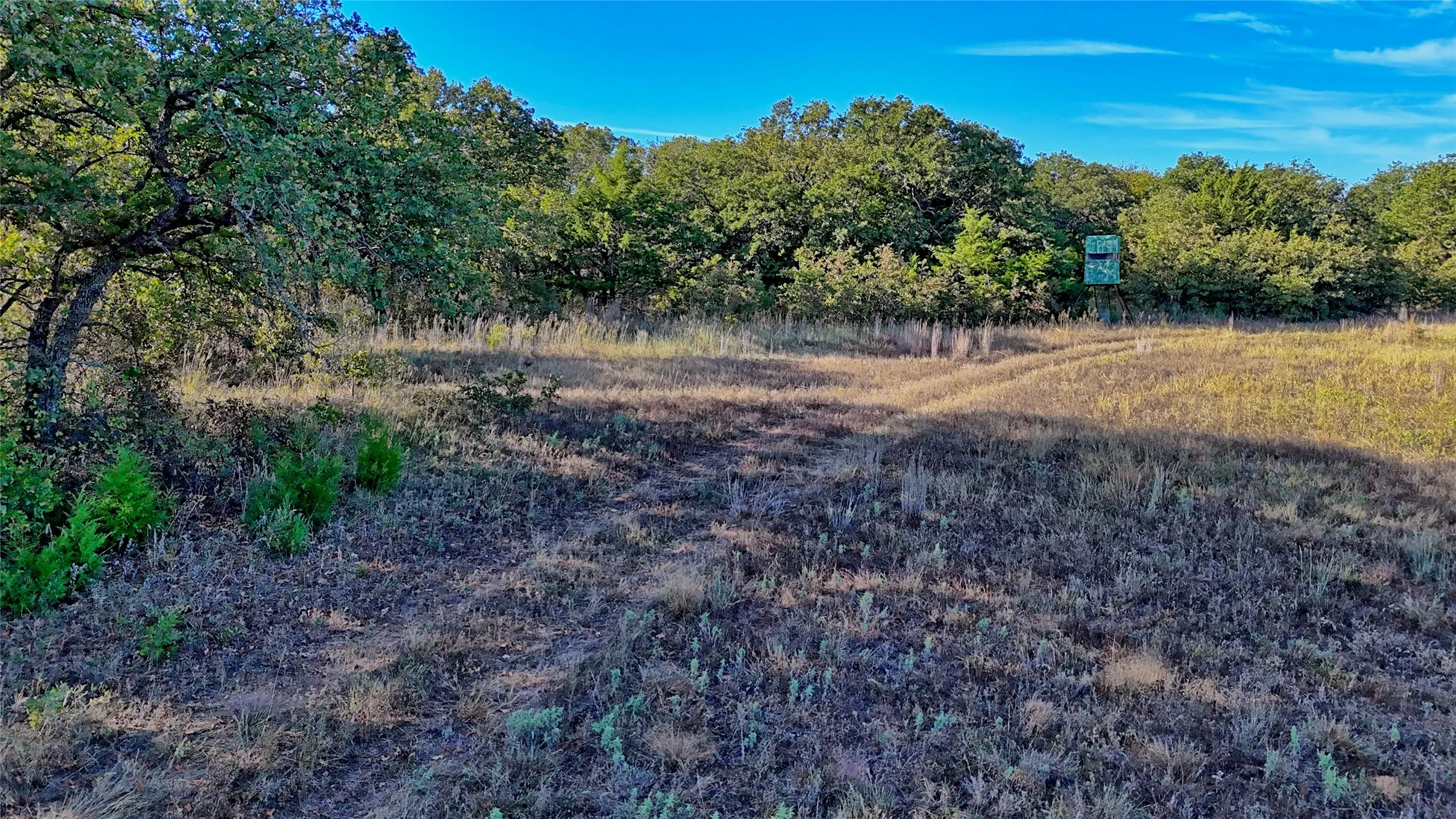 Ranch For Sale in Clay County , TBD 4 Wire Road, Bellevue, Texas 76228, 0, 0, Garage spaces, 0 Sqft, built in 1978, Price $443,900, mls#21273718, Real Estate Agent in Bellevue, Homes For Sale in Clay county, Homes For Sale in Bellevue, Realtor in Bellevue Texas, Real Estate Brokerage Independent Realty Texas, Luminita Cordes Realtor