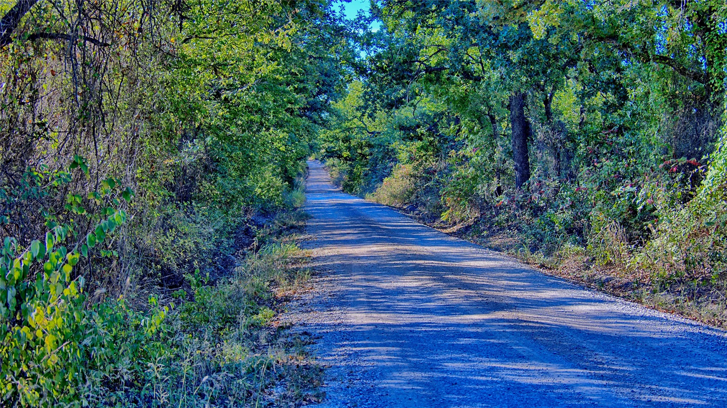 Ranch For Sale in Clay County , TBD 4 Wire Road, Bellevue, Texas 76228, 0, 0, Garage spaces, 0 Sqft, built in 1978, Price $443,900, mls#21273718, Real Estate Agent in Bellevue, Homes For Sale in Clay county, Homes For Sale in Bellevue, Realtor in Bellevue Texas, Real Estate Brokerage Independent Realty Texas, Luminita Cordes Realtor