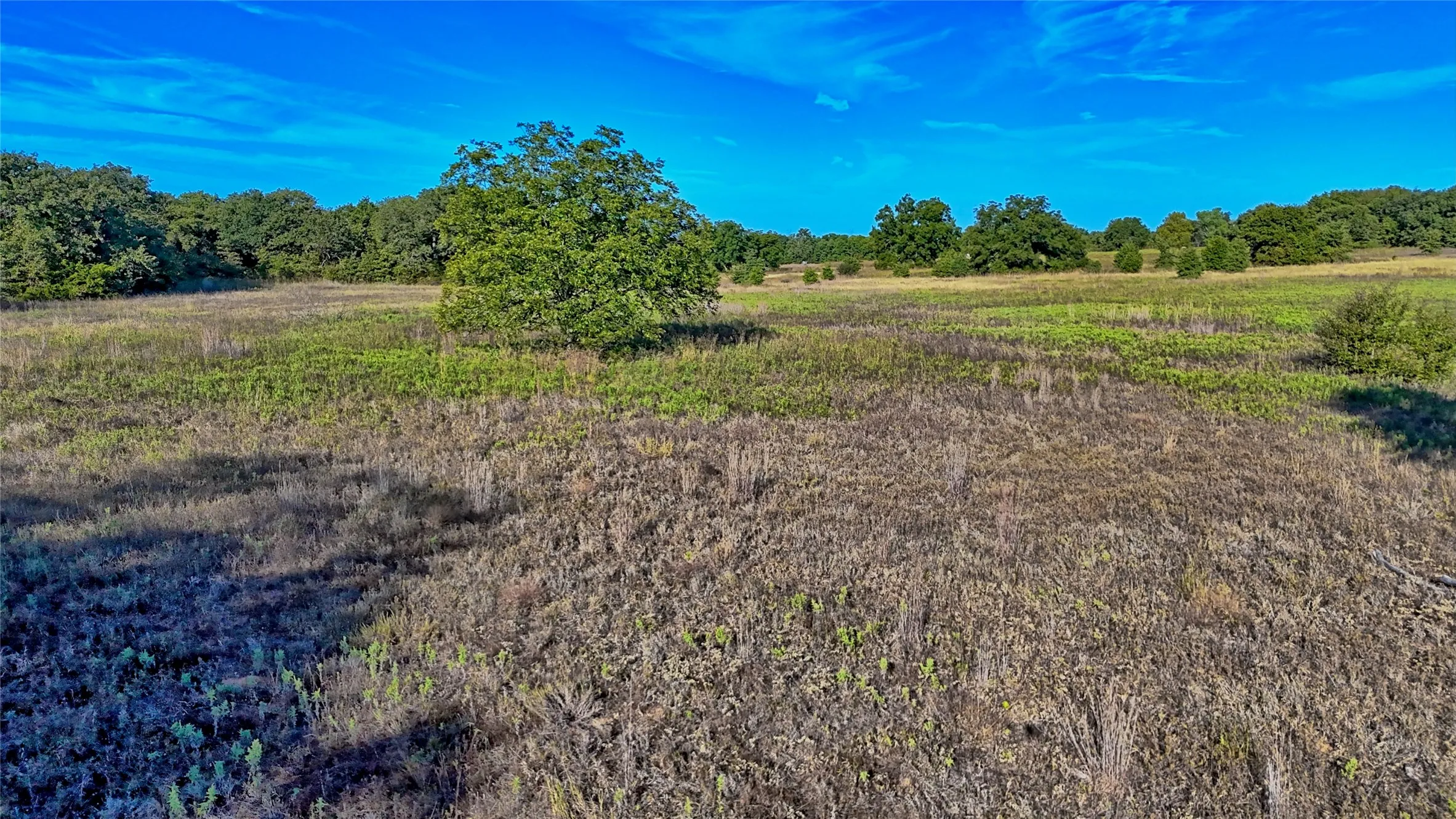 Ranch For Sale in Clay County , TBD 4 Wire Road, Bellevue, Texas 76228, 0, 0, Garage spaces, 0 Sqft, built in 1978, Price $443,900, mls#21273718, Real Estate Agent in Bellevue, Homes For Sale in Clay county, Homes For Sale in Bellevue, Realtor in Bellevue Texas, Real Estate Brokerage Independent Realty Texas, Luminita Cordes Realtor