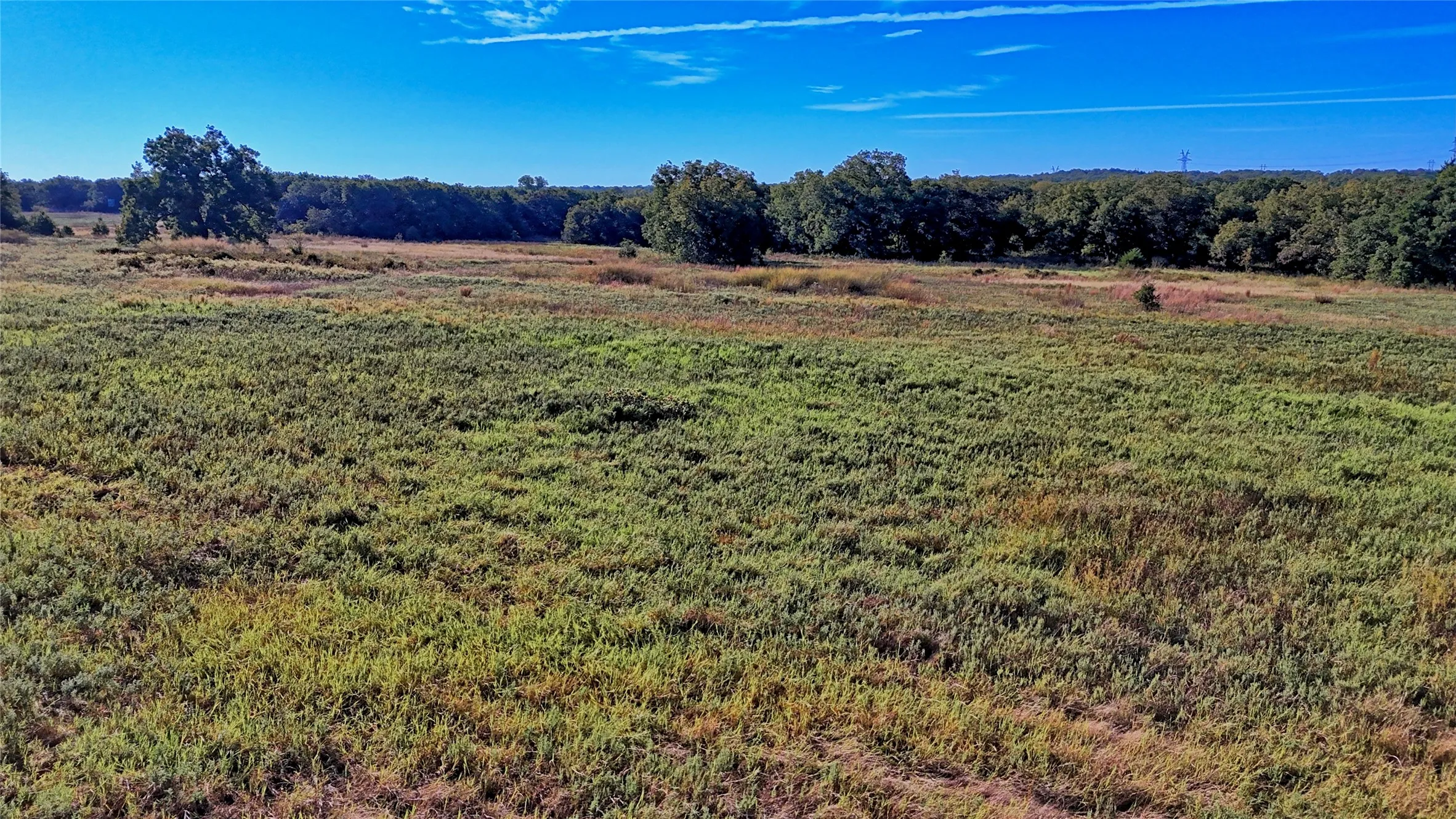 Ranch For Sale in Clay County , TBD 4 Wire Road, Bellevue, Texas 76228, 0, 0, Garage spaces, 0 Sqft, built in 1978, Price $443,900, mls#21273718, Real Estate Agent in Bellevue, Homes For Sale in Clay county, Homes For Sale in Bellevue, Realtor in Bellevue Texas, Real Estate Brokerage Independent Realty Texas, Luminita Cordes Realtor