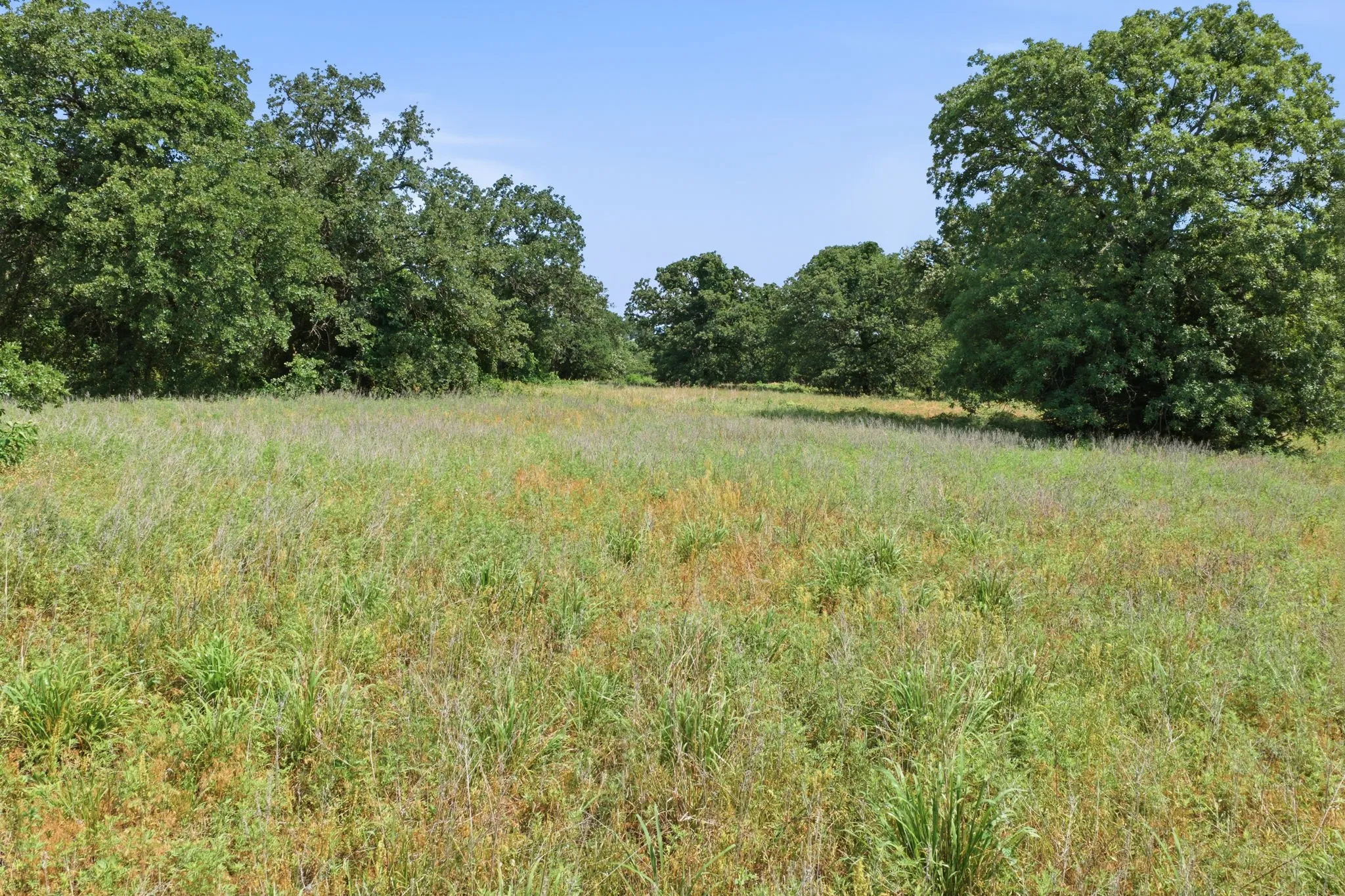 Warehouse For Sale in Parker County , 3523 E Highway 199, Springtown, Texas 76082, 3 Bedroom, 2 Bathroom, 6 Garage spaces, 2,475 Sqft, built in 1985, mls#21272365, Real Estate Agent in Springtown, Homes For Sale in Parker county, Homes For Sale in Springtown, Realtor in Springtown Texas, Real Estate Brokerage Independent Realty Texas, Luminita Cordes Realtor