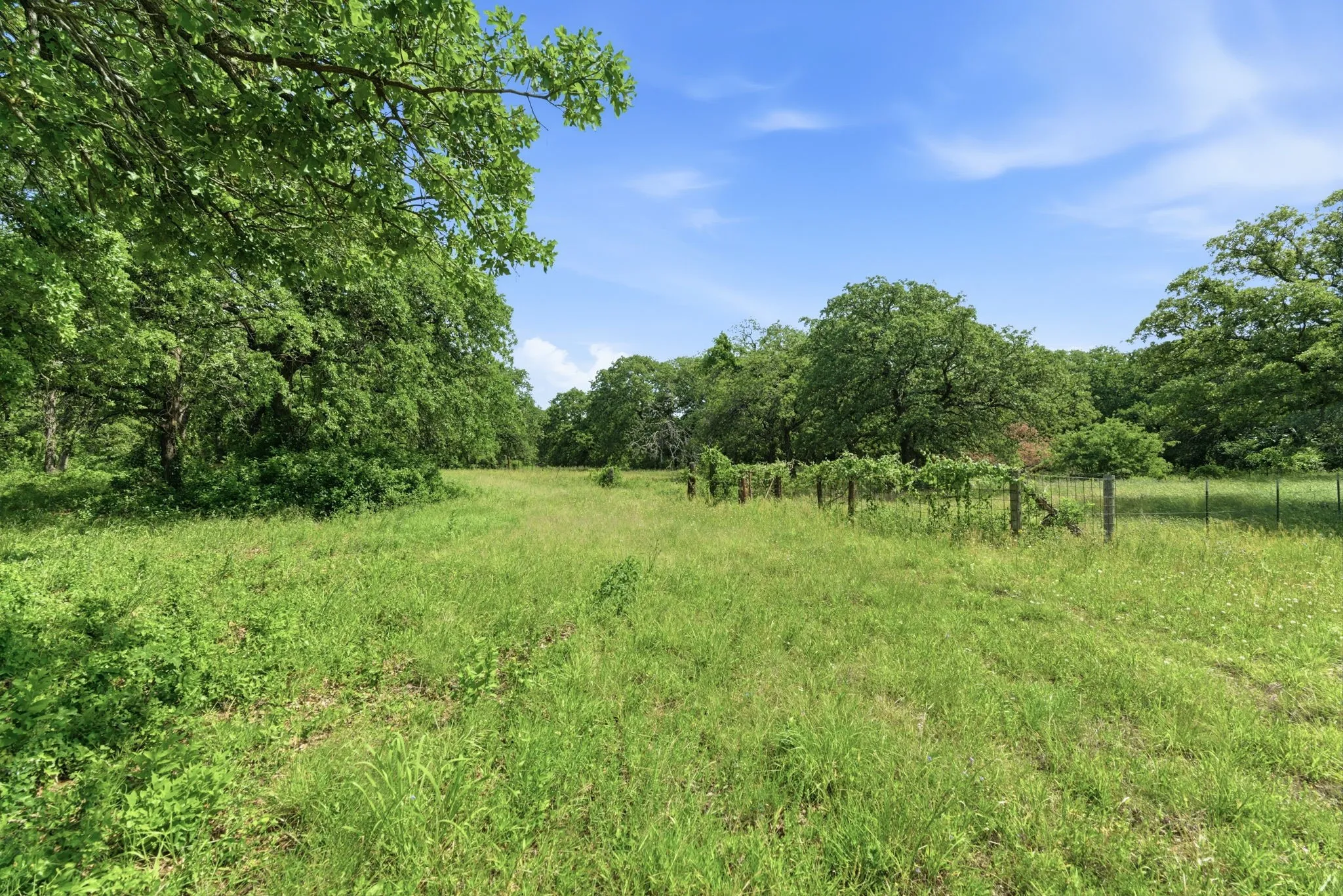 Warehouse For Sale in Parker County , 3523 E Highway 199, Springtown, Texas 76082, 3 Bedroom, 2 Bathroom, 6 Garage spaces, 2,475 Sqft, built in 1985, mls#21272365, Real Estate Agent in Springtown, Homes For Sale in Parker county, Homes For Sale in Springtown, Realtor in Springtown Texas, Real Estate Brokerage Independent Realty Texas, Luminita Cordes Realtor