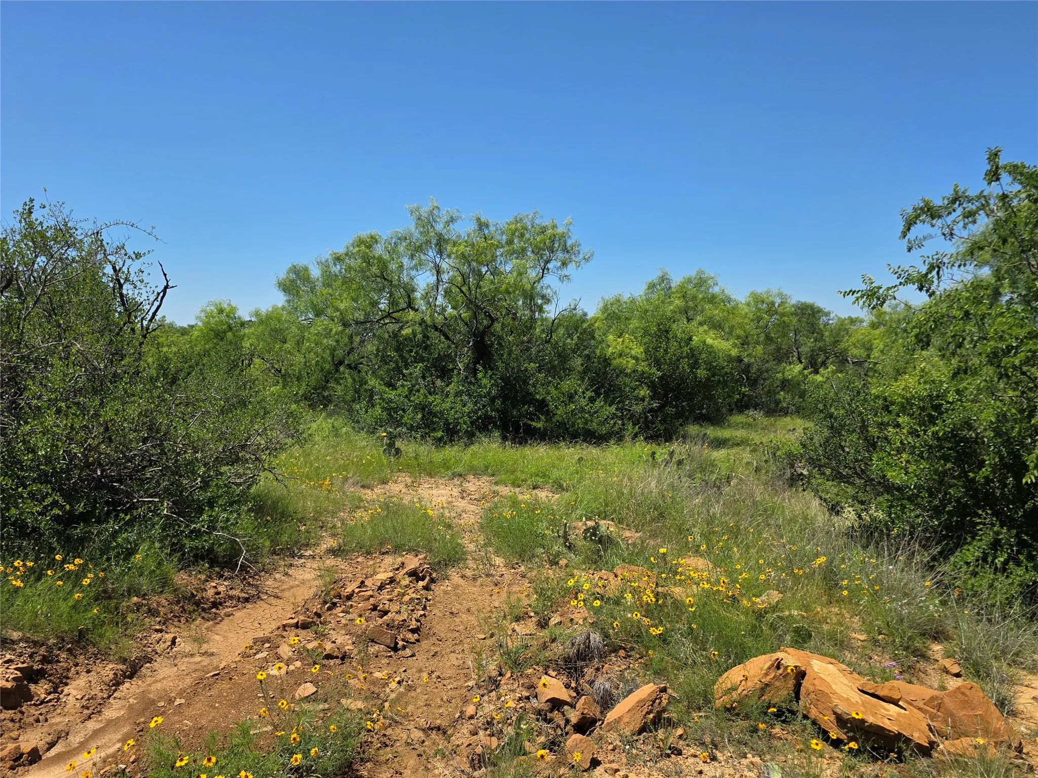 Ranch For Sale in Brown County , 13915 County Road 237, Brownwood, Texas 76801, 0, 0, Garage spaces, 0 Sqft, built in 1993, mls#21273387, Real Estate Agent in Brownwood, Homes For Sale in Brown county, Homes For Sale in Brownwood, Realtor in Brownwood Texas, Real Estate Brokerage Independent Realty Texas, Luminita Cordes Realtor