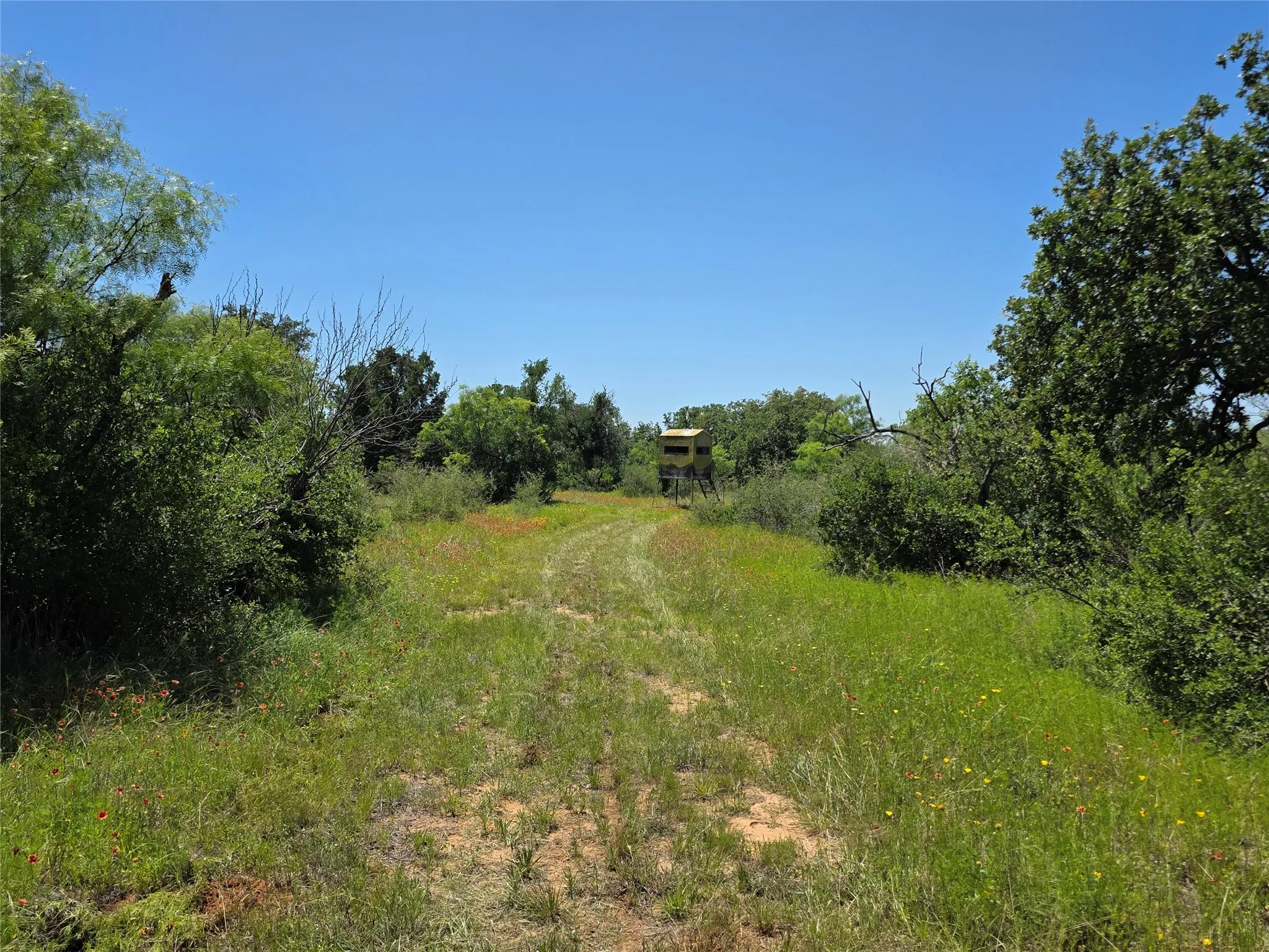Ranch For Sale in Brown County , 13915 County Road 237, Brownwood, Texas 76801, 0, 0, Garage spaces, 0 Sqft, built in 1993, mls#21273387, Real Estate Agent in Brownwood, Homes For Sale in Brown county, Homes For Sale in Brownwood, Realtor in Brownwood Texas, Real Estate Brokerage Independent Realty Texas, Luminita Cordes Realtor