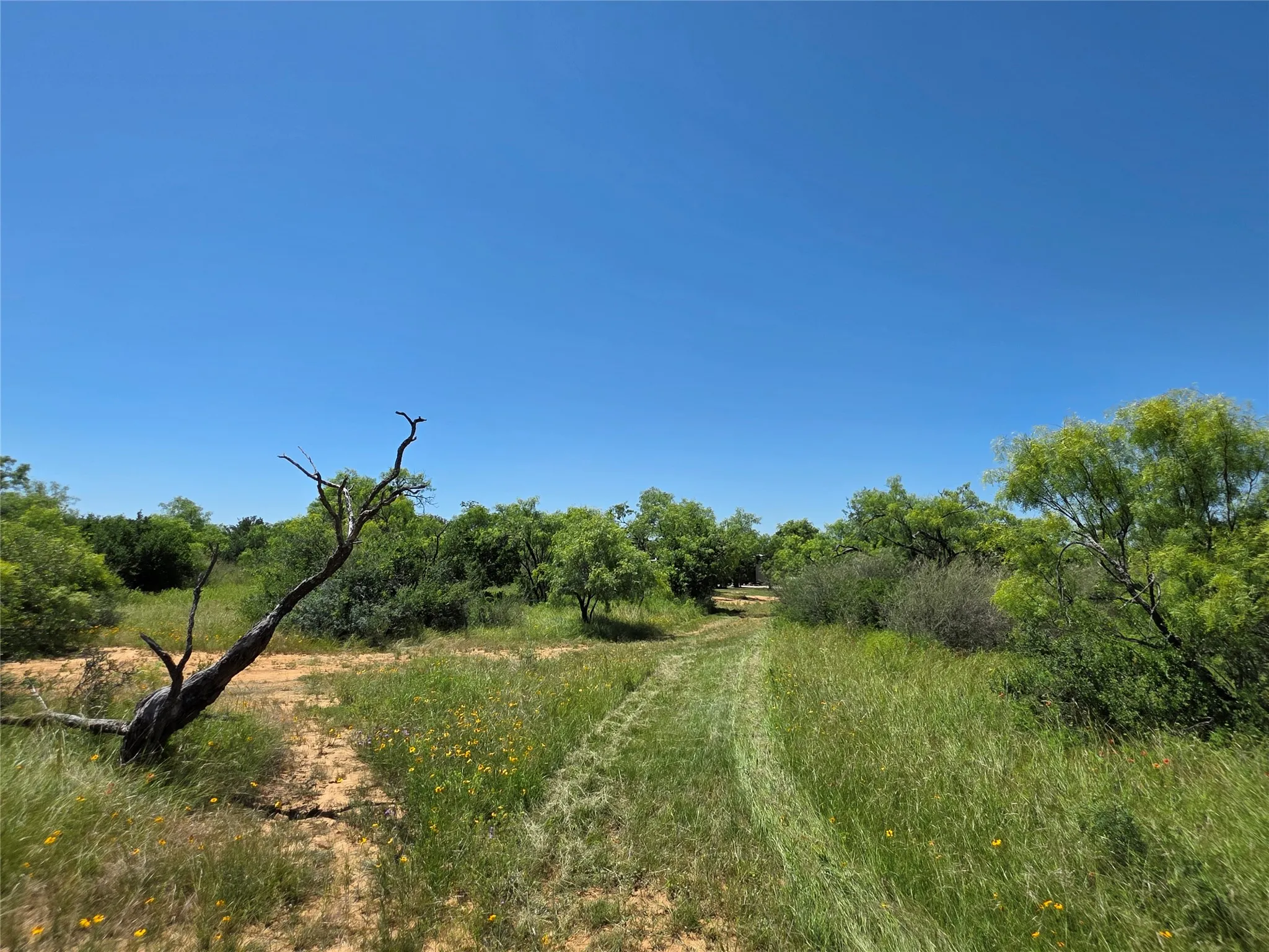 Ranch For Sale in Brown County , 13915 County Road 237, Brownwood, Texas 76801, 0, 0, Garage spaces, 0 Sqft, built in 1993, mls#21273387, Real Estate Agent in Brownwood, Homes For Sale in Brown county, Homes For Sale in Brownwood, Realtor in Brownwood Texas, Real Estate Brokerage Independent Realty Texas, Luminita Cordes Realtor