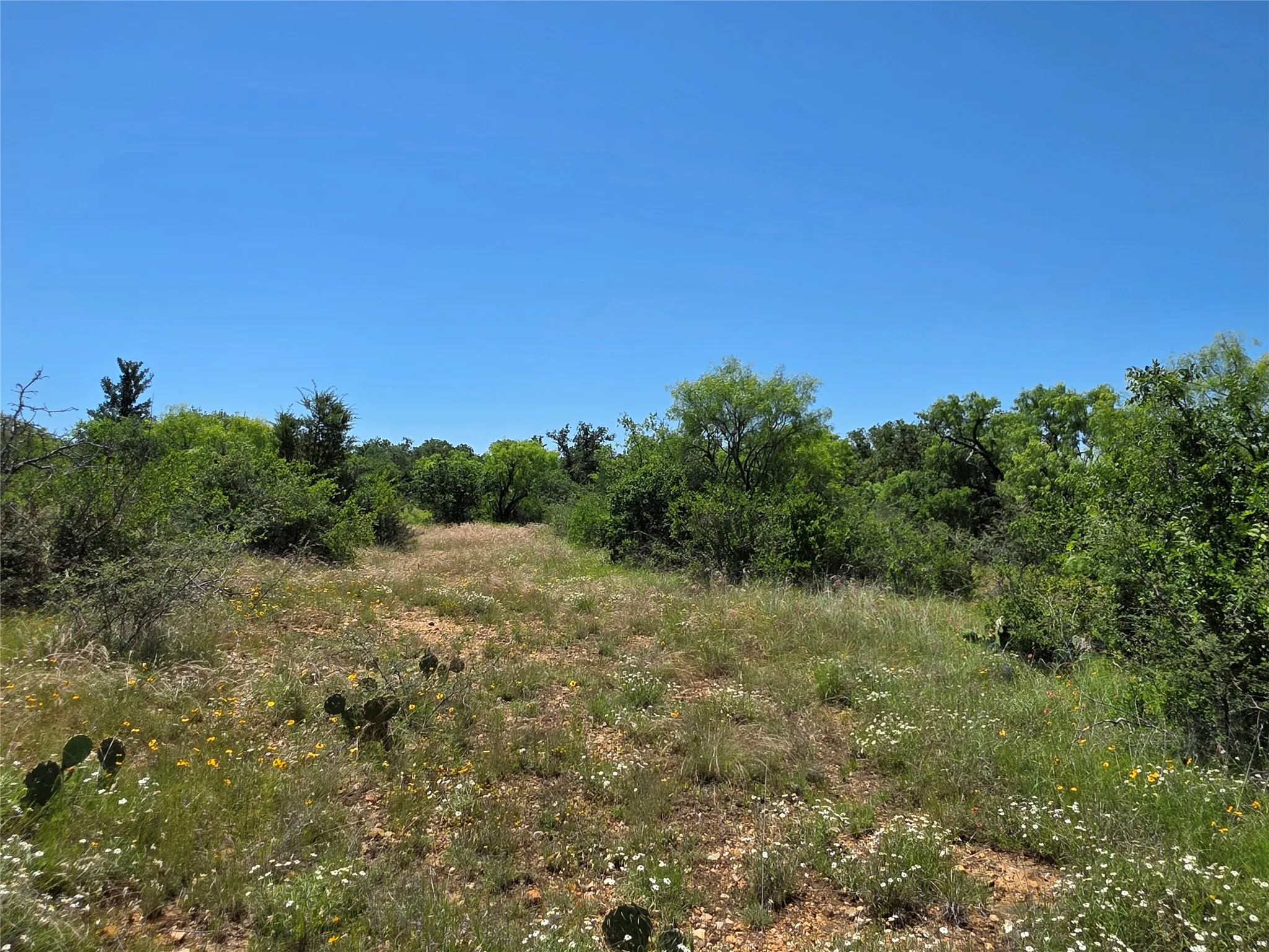 Ranch For Sale in Brown County , 13915 County Road 237, Brownwood, Texas 76801, 0, 0, Garage spaces, 0 Sqft, built in 1993, mls#21273387, Real Estate Agent in Brownwood, Homes For Sale in Brown county, Homes For Sale in Brownwood, Realtor in Brownwood Texas, Real Estate Brokerage Independent Realty Texas, Luminita Cordes Realtor