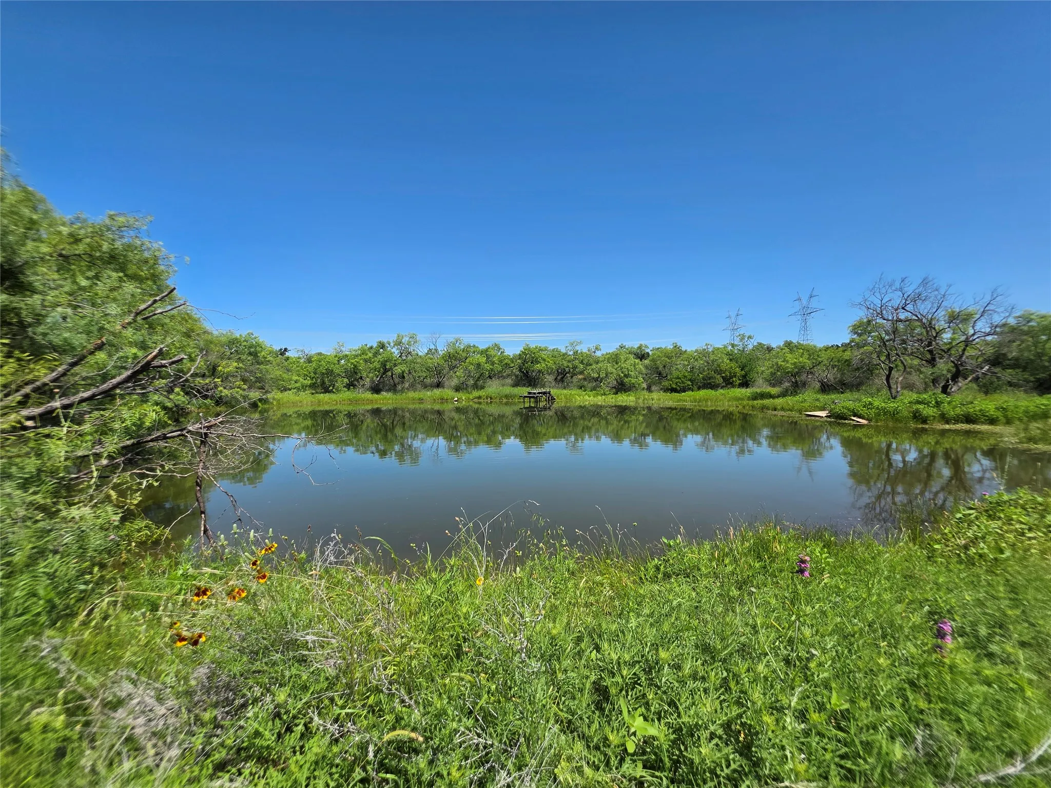 Ranch For Sale in Brown County , 13915 County Road 237, Brownwood, Texas 76801, 0, 0, Garage spaces, 0 Sqft, built in 1993, mls#21273387, Real Estate Agent in Brownwood, Homes For Sale in Brown county, Homes For Sale in Brownwood, Realtor in Brownwood Texas, Real Estate Brokerage Independent Realty Texas, Luminita Cordes Realtor
