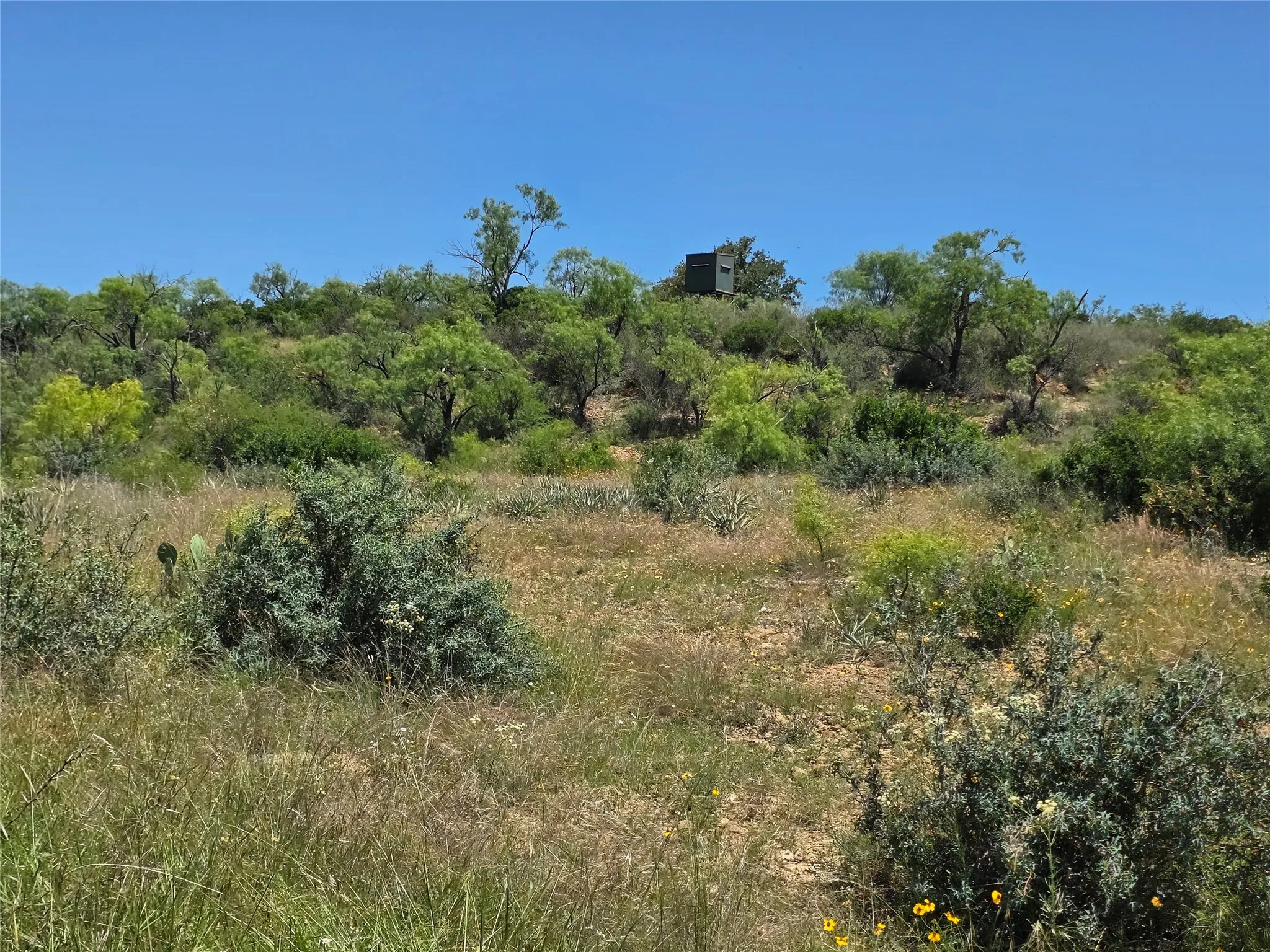 Ranch For Sale in Brown County , 13915 County Road 237, Brownwood, Texas 76801, 0, 0, Garage spaces, 0 Sqft, built in 1993, mls#21273387, Real Estate Agent in Brownwood, Homes For Sale in Brown county, Homes For Sale in Brownwood, Realtor in Brownwood Texas, Real Estate Brokerage Independent Realty Texas, Luminita Cordes Realtor