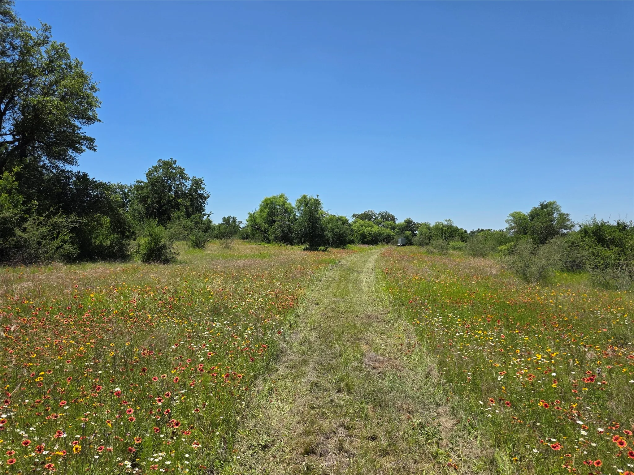 Ranch For Sale in Brown County , 13915 County Road 237, Brownwood, Texas 76801, 0, 0, Garage spaces, 0 Sqft, built in 1993, mls#21273387, Real Estate Agent in Brownwood, Homes For Sale in Brown county, Homes For Sale in Brownwood, Realtor in Brownwood Texas, Real Estate Brokerage Independent Realty Texas, Luminita Cordes Realtor