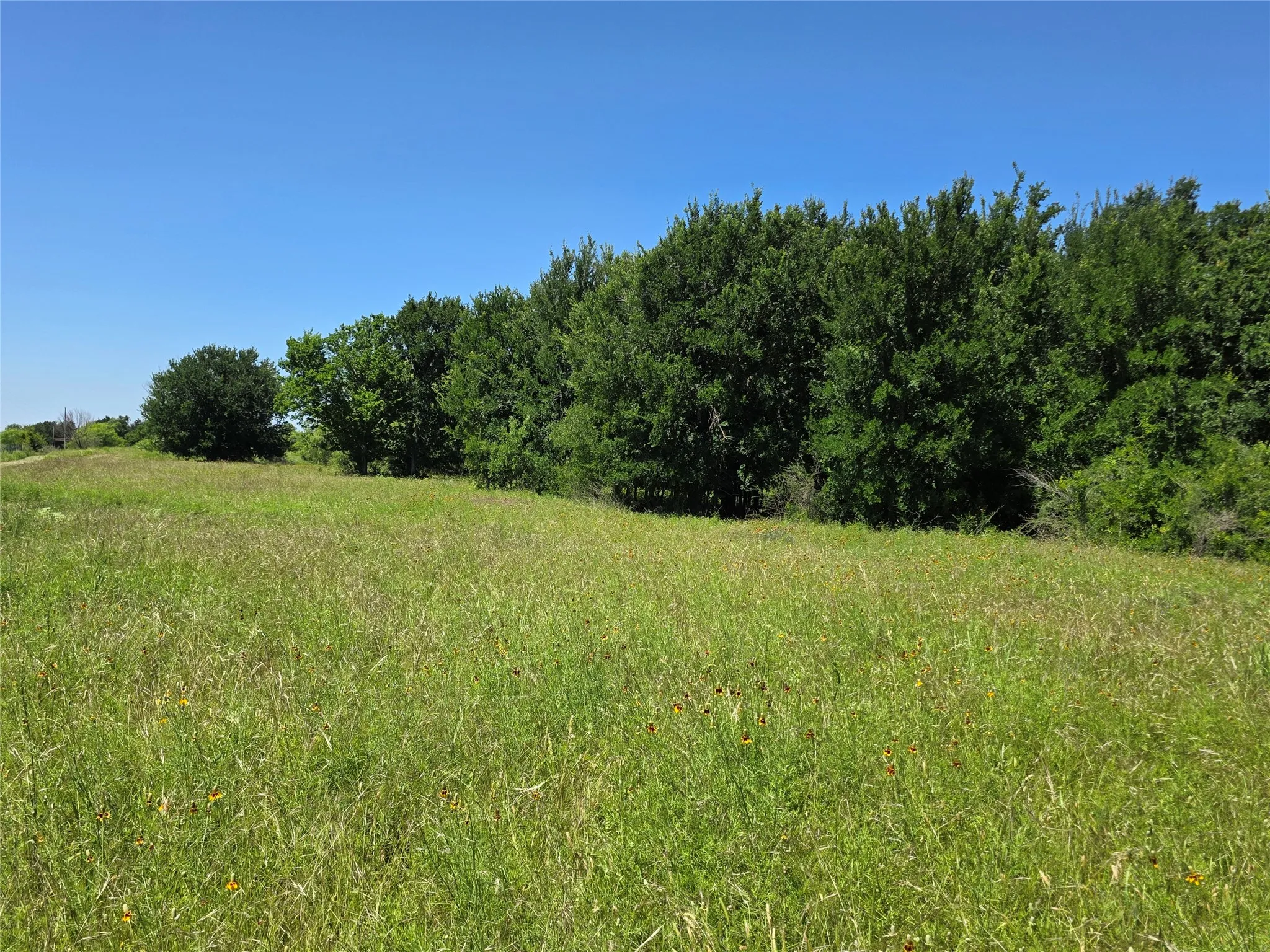 Ranch For Sale in Brown County , 13915 County Road 237, Brownwood, Texas 76801, 0, 0, Garage spaces, 0 Sqft, built in 1993, mls#21273387, Real Estate Agent in Brownwood, Homes For Sale in Brown county, Homes For Sale in Brownwood, Realtor in Brownwood Texas, Real Estate Brokerage Independent Realty Texas, Luminita Cordes Realtor