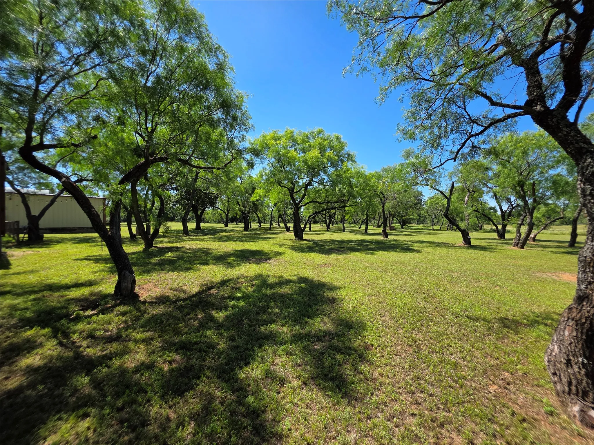 Ranch For Sale in Brown County , 13915 County Road 237, Brownwood, Texas 76801, 0, 0, Garage spaces, 0 Sqft, built in 1993, mls#21273387, Real Estate Agent in Brownwood, Homes For Sale in Brown county, Homes For Sale in Brownwood, Realtor in Brownwood Texas, Real Estate Brokerage Independent Realty Texas, Luminita Cordes Realtor