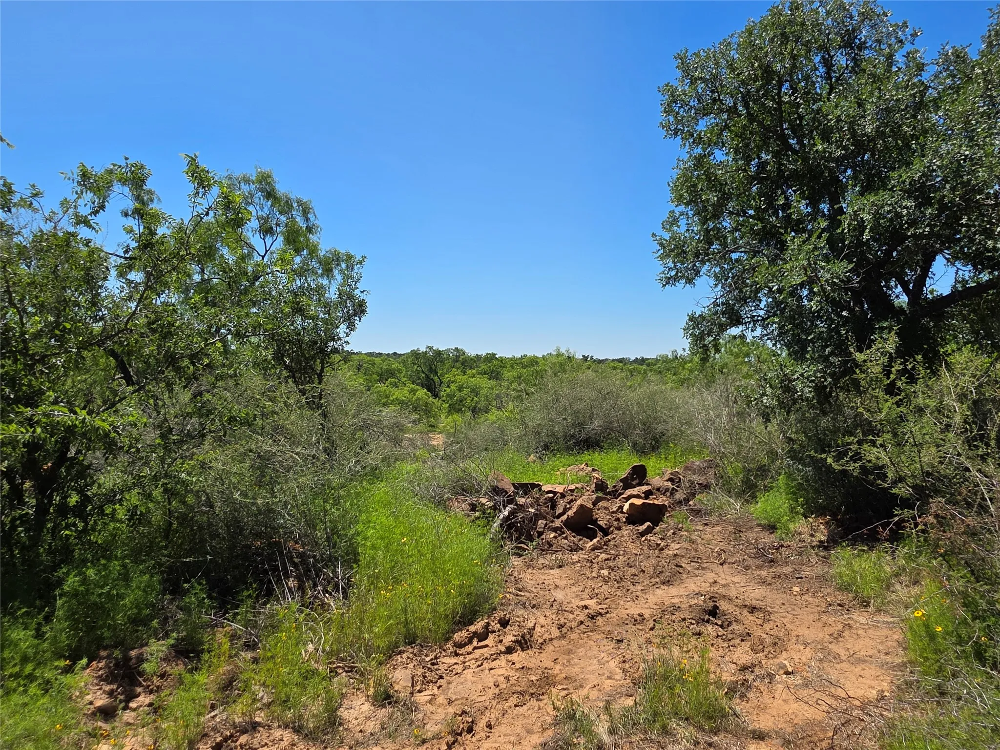 Ranch For Sale in Brown County , 13915 County Road 237, Brownwood, Texas 76801, 0, 0, Garage spaces, 0 Sqft, built in 1993, mls#21273387, Real Estate Agent in Brownwood, Homes For Sale in Brown county, Homes For Sale in Brownwood, Realtor in Brownwood Texas, Real Estate Brokerage Independent Realty Texas, Luminita Cordes Realtor