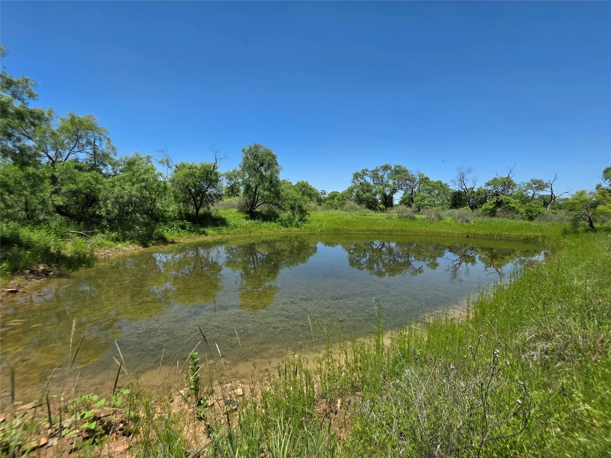 Ranch For Sale in Brown County , 13915 County Road 237, Brownwood, Texas 76801, 0, 0, Garage spaces, 0 Sqft, built in 1993, mls#21273387, Real Estate Agent in Brownwood, Homes For Sale in Brown county, Homes For Sale in Brownwood, Realtor in Brownwood Texas, Real Estate Brokerage Independent Realty Texas, Luminita Cordes Realtor