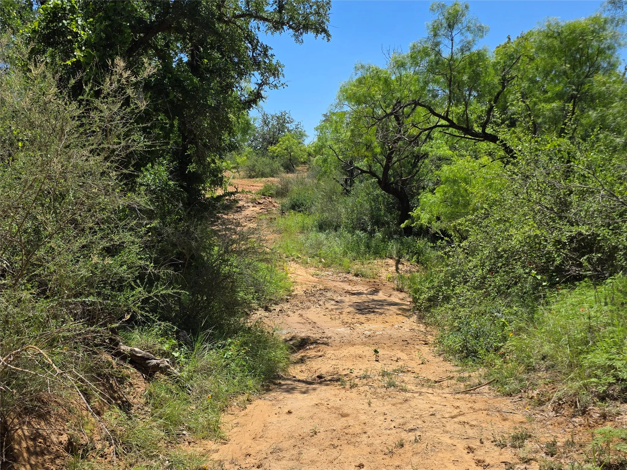 Ranch For Sale in Brown County , 13915 County Road 237, Brownwood, Texas 76801, 0, 0, Garage spaces, 0 Sqft, built in 1993, mls#21273387, Real Estate Agent in Brownwood, Homes For Sale in Brown county, Homes For Sale in Brownwood, Realtor in Brownwood Texas, Real Estate Brokerage Independent Realty Texas, Luminita Cordes Realtor