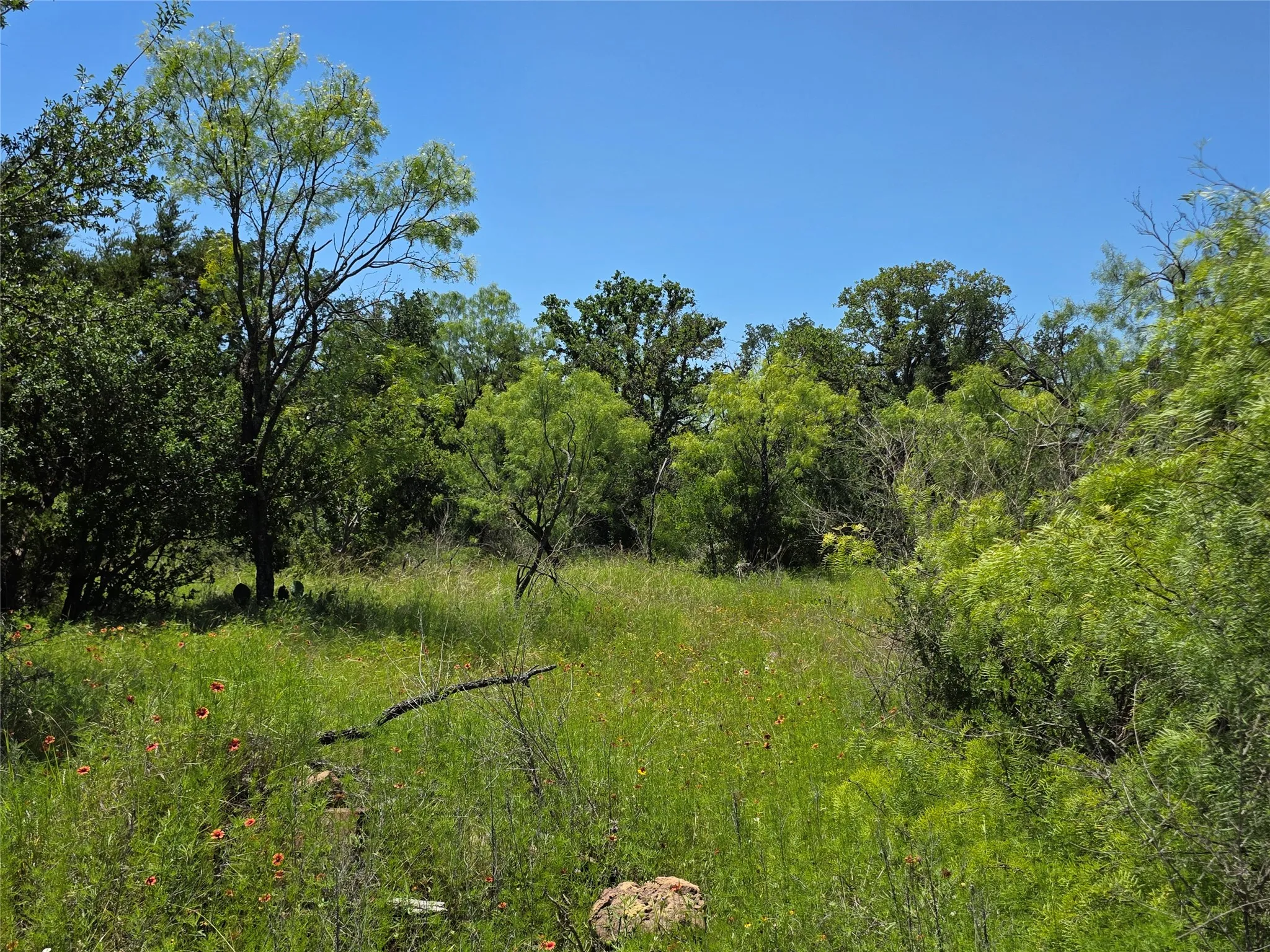 Ranch For Sale in Brown County , 13915 County Road 237, Brownwood, Texas 76801, 0, 0, Garage spaces, 0 Sqft, built in 1993, mls#21273387, Real Estate Agent in Brownwood, Homes For Sale in Brown county, Homes For Sale in Brownwood, Realtor in Brownwood Texas, Real Estate Brokerage Independent Realty Texas, Luminita Cordes Realtor