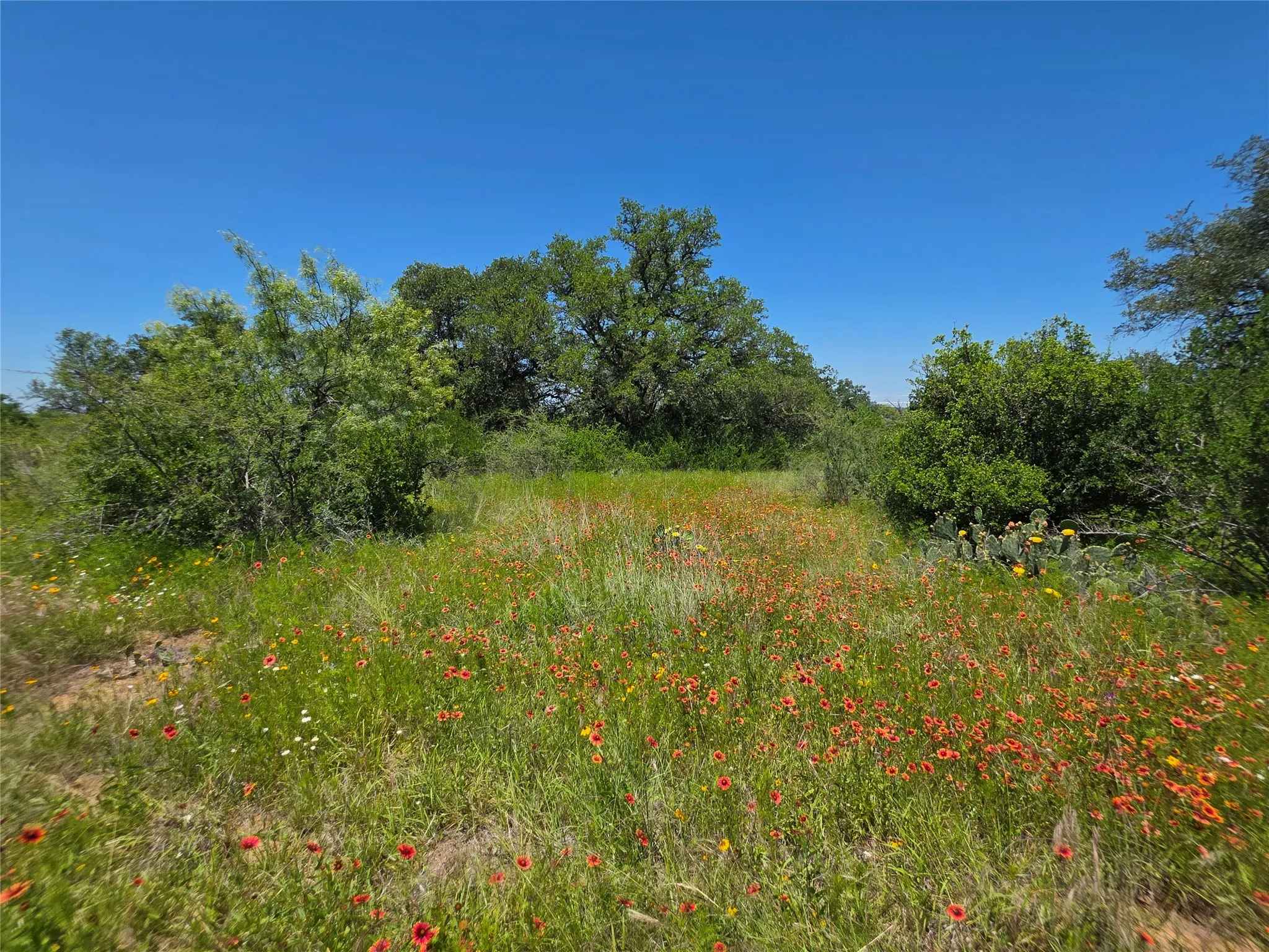 Ranch For Sale in Brown County , 13915 County Road 237, Brownwood, Texas 76801, 0, 0, Garage spaces, 0 Sqft, built in 1993, mls#21273387, Real Estate Agent in Brownwood, Homes For Sale in Brown county, Homes For Sale in Brownwood, Realtor in Brownwood Texas, Real Estate Brokerage Independent Realty Texas, Luminita Cordes Realtor