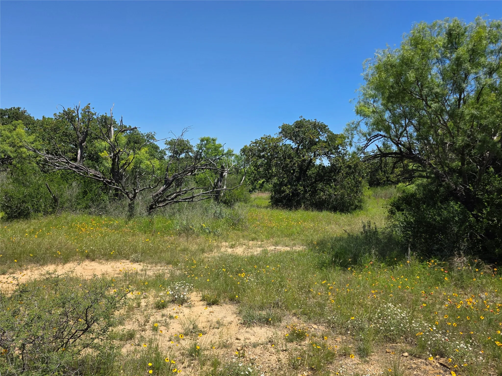 Ranch For Sale in Brown County , 13915 County Road 237, Brownwood, Texas 76801, 0, 0, Garage spaces, 0 Sqft, built in 1993, mls#21273387, Real Estate Agent in Brownwood, Homes For Sale in Brown county, Homes For Sale in Brownwood, Realtor in Brownwood Texas, Real Estate Brokerage Independent Realty Texas, Luminita Cordes Realtor