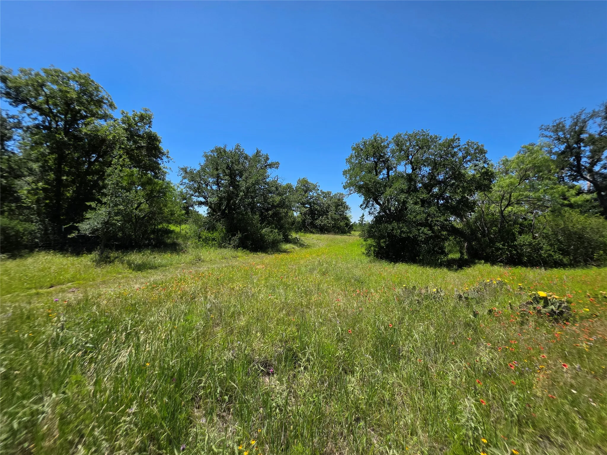 Ranch For Sale in Brown County , 13915 County Road 237, Brownwood, Texas 76801, 0, 0, Garage spaces, 0 Sqft, built in 1993, mls#21273387, Real Estate Agent in Brownwood, Homes For Sale in Brown county, Homes For Sale in Brownwood, Realtor in Brownwood Texas, Real Estate Brokerage Independent Realty Texas, Luminita Cordes Realtor