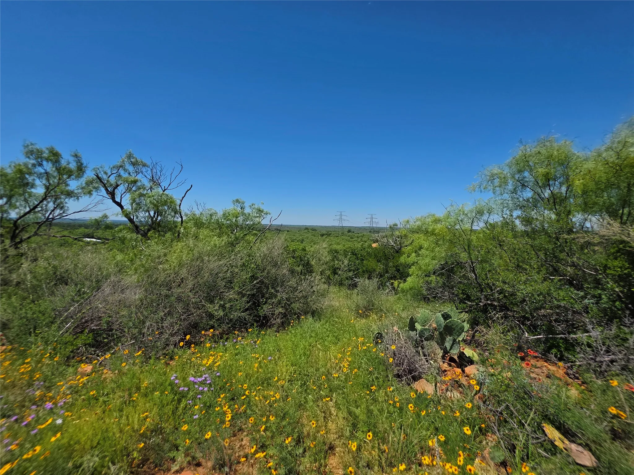 Ranch For Sale in Brown County , 13915 County Road 237, Brownwood, Texas 76801, 0, 0, Garage spaces, 0 Sqft, built in 1993, mls#21273387, Real Estate Agent in Brownwood, Homes For Sale in Brown county, Homes For Sale in Brownwood, Realtor in Brownwood Texas, Real Estate Brokerage Independent Realty Texas, Luminita Cordes Realtor