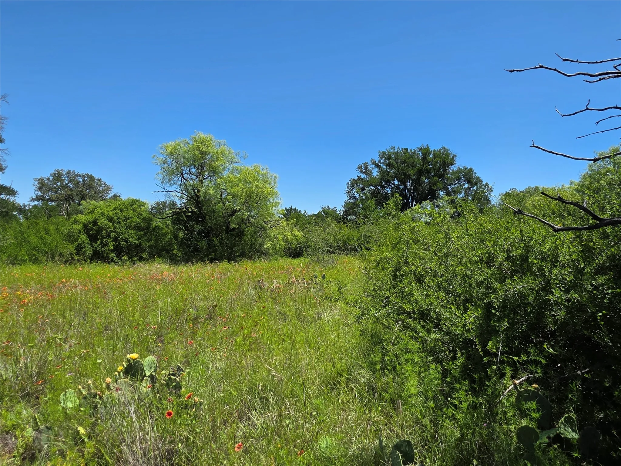 Ranch For Sale in Brown County , 13915 County Road 237, Brownwood, Texas 76801, 0, 0, Garage spaces, 0 Sqft, built in 1993, mls#21273387, Real Estate Agent in Brownwood, Homes For Sale in Brown county, Homes For Sale in Brownwood, Realtor in Brownwood Texas, Real Estate Brokerage Independent Realty Texas, Luminita Cordes Realtor
