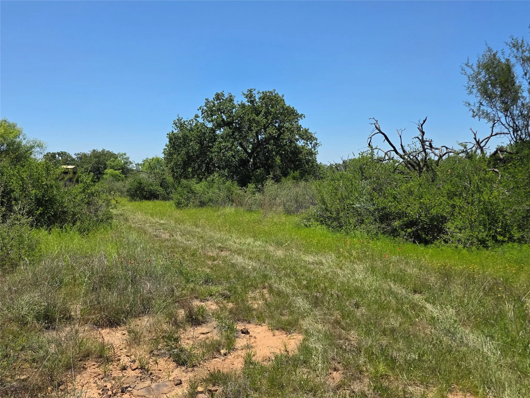 Ranch For Sale in Brown County , 13915 County Road 237, Brownwood, Texas 76801, 0, 0, Garage spaces, 0 Sqft, built in 1993, mls#21273387, Real Estate Agent in Brownwood, Homes For Sale in Brown county, Homes For Sale in Brownwood, Realtor in Brownwood Texas, Real Estate Brokerage Independent Realty Texas, Luminita Cordes Realtor
