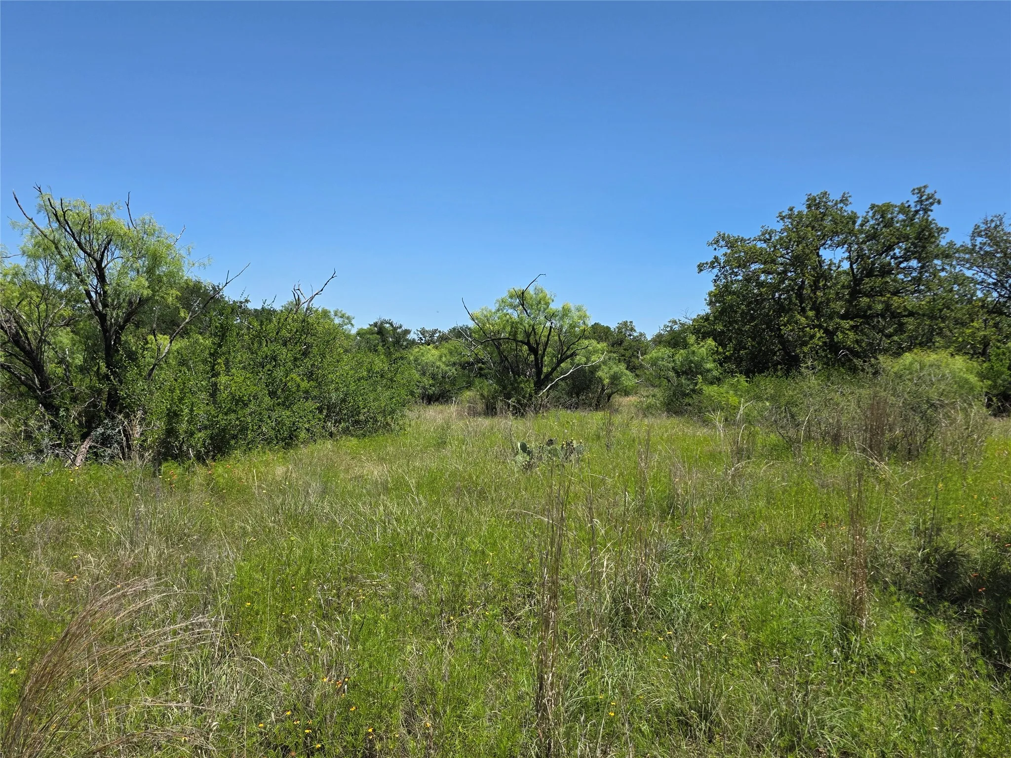 Ranch For Sale in Brown County , 13915 County Road 237, Brownwood, Texas 76801, 0, 0, Garage spaces, 0 Sqft, built in 1993, mls#21273387, Real Estate Agent in Brownwood, Homes For Sale in Brown county, Homes For Sale in Brownwood, Realtor in Brownwood Texas, Real Estate Brokerage Independent Realty Texas, Luminita Cordes Realtor