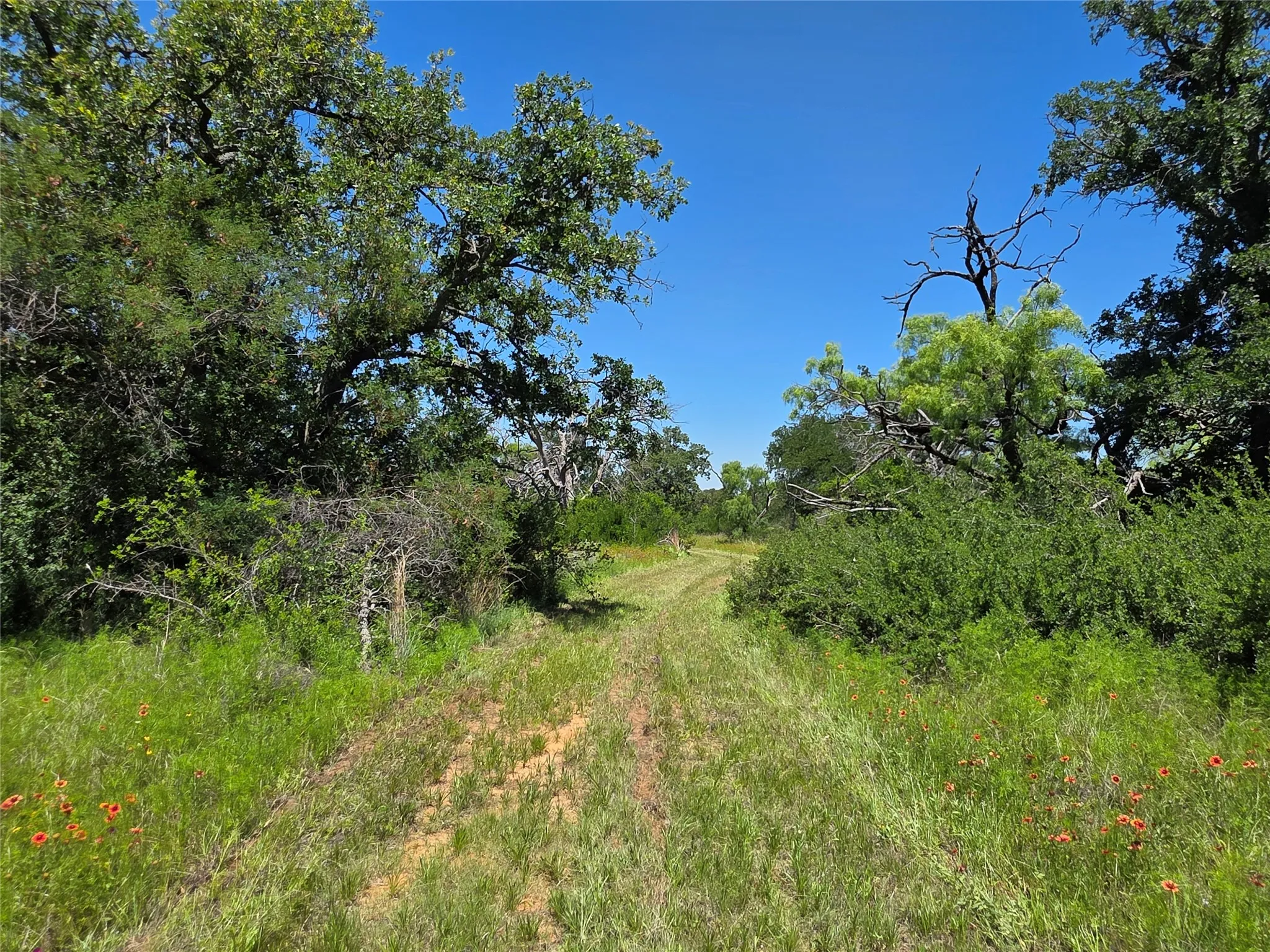 Ranch For Sale in Brown County , 13915 County Road 237, Brownwood, Texas 76801, 0, 0, Garage spaces, 0 Sqft, built in 1993, mls#21273387, Real Estate Agent in Brownwood, Homes For Sale in Brown county, Homes For Sale in Brownwood, Realtor in Brownwood Texas, Real Estate Brokerage Independent Realty Texas, Luminita Cordes Realtor