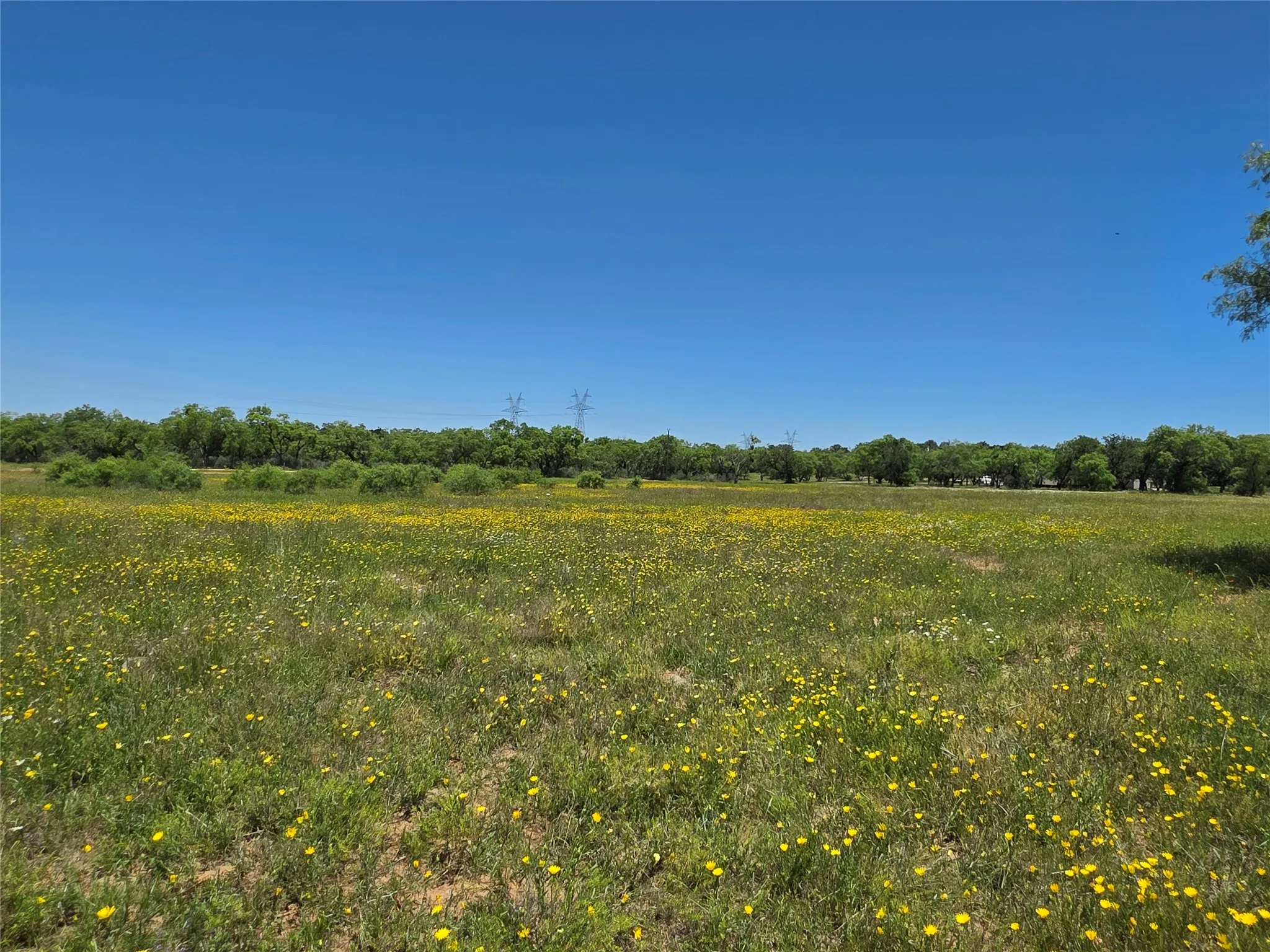 Ranch For Sale in Brown County , 13915 County Road 237, Brownwood, Texas 76801, 0, 0, Garage spaces, 0 Sqft, built in 1993, mls#21273387, Real Estate Agent in Brownwood, Homes For Sale in Brown county, Homes For Sale in Brownwood, Realtor in Brownwood Texas, Real Estate Brokerage Independent Realty Texas, Luminita Cordes Realtor