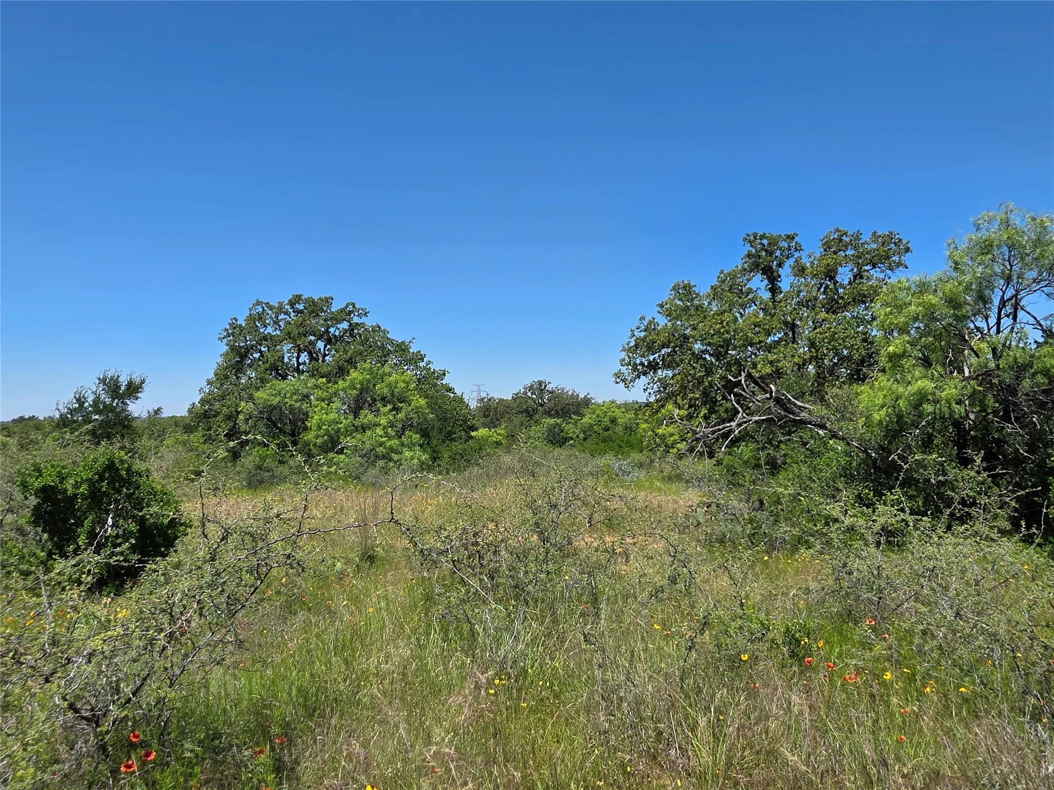 Ranch For Sale in Brown County , 13915 County Road 237, Brownwood, Texas 76801, 0, 0, Garage spaces, 0 Sqft, built in 1993, mls#21273387, Real Estate Agent in Brownwood, Homes For Sale in Brown county, Homes For Sale in Brownwood, Realtor in Brownwood Texas, Real Estate Brokerage Independent Realty Texas, Luminita Cordes Realtor