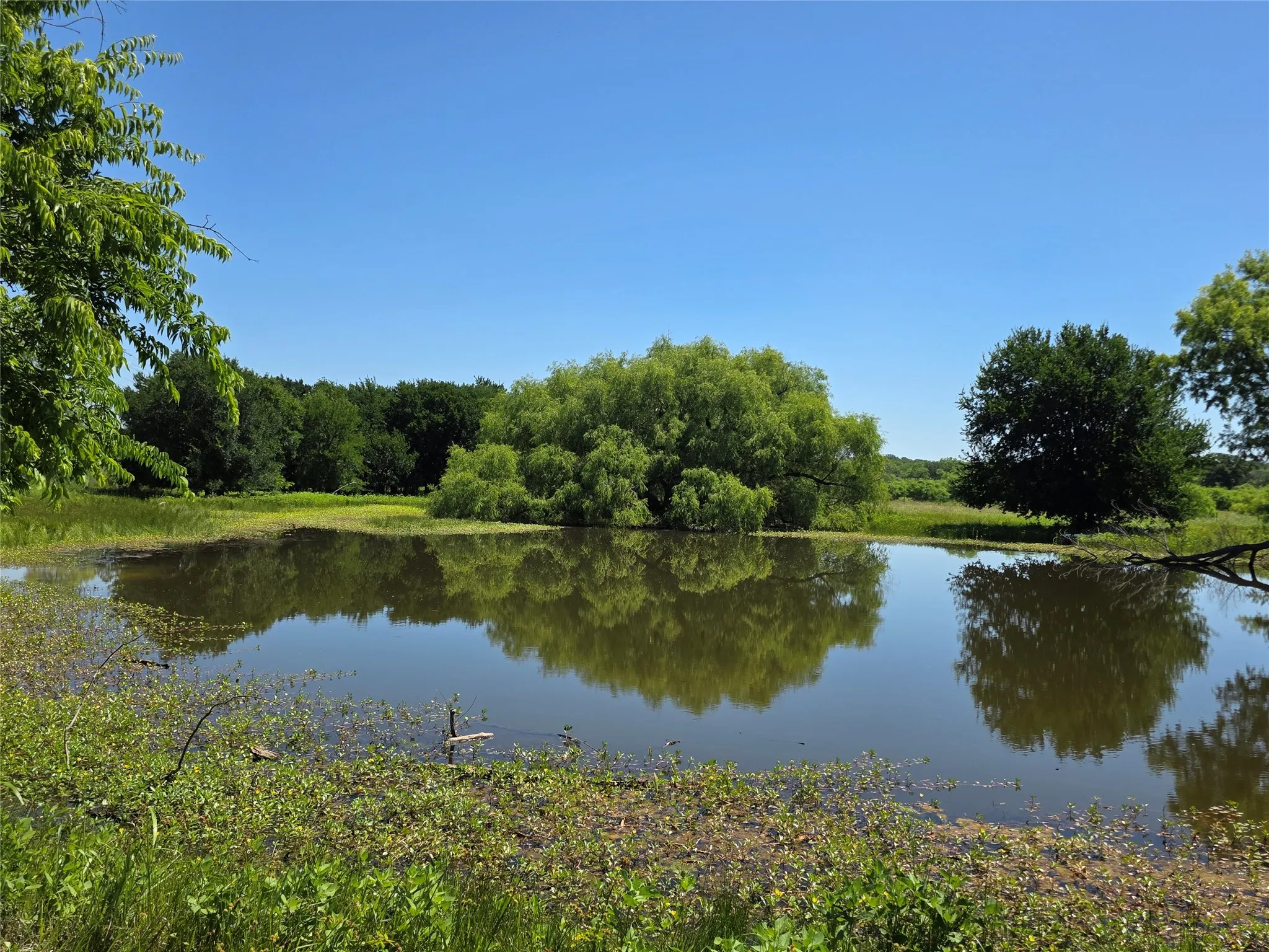 Ranch For Sale in Brown County , 13915 County Road 237, Brownwood, Texas 76801, 0, 0, Garage spaces, 0 Sqft, built in 1993, mls#21273387, Real Estate Agent in Brownwood, Homes For Sale in Brown county, Homes For Sale in Brownwood, Realtor in Brownwood Texas, Real Estate Brokerage Independent Realty Texas, Luminita Cordes Realtor