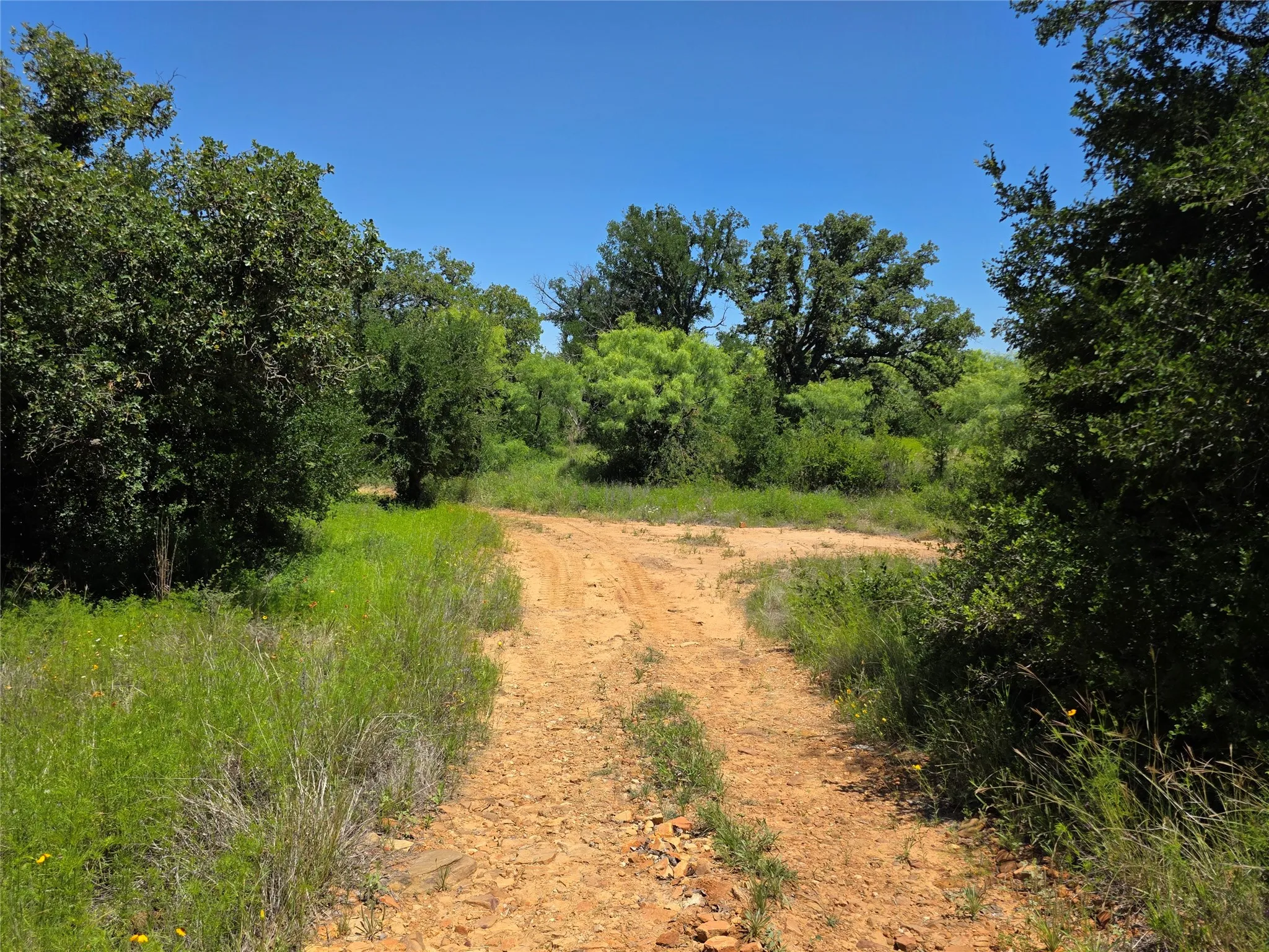 Ranch For Sale in Brown County , 13915 County Road 237, Brownwood, Texas 76801, 0, 0, Garage spaces, 0 Sqft, built in 1993, mls#21273387, Real Estate Agent in Brownwood, Homes For Sale in Brown county, Homes For Sale in Brownwood, Realtor in Brownwood Texas, Real Estate Brokerage Independent Realty Texas, Luminita Cordes Realtor