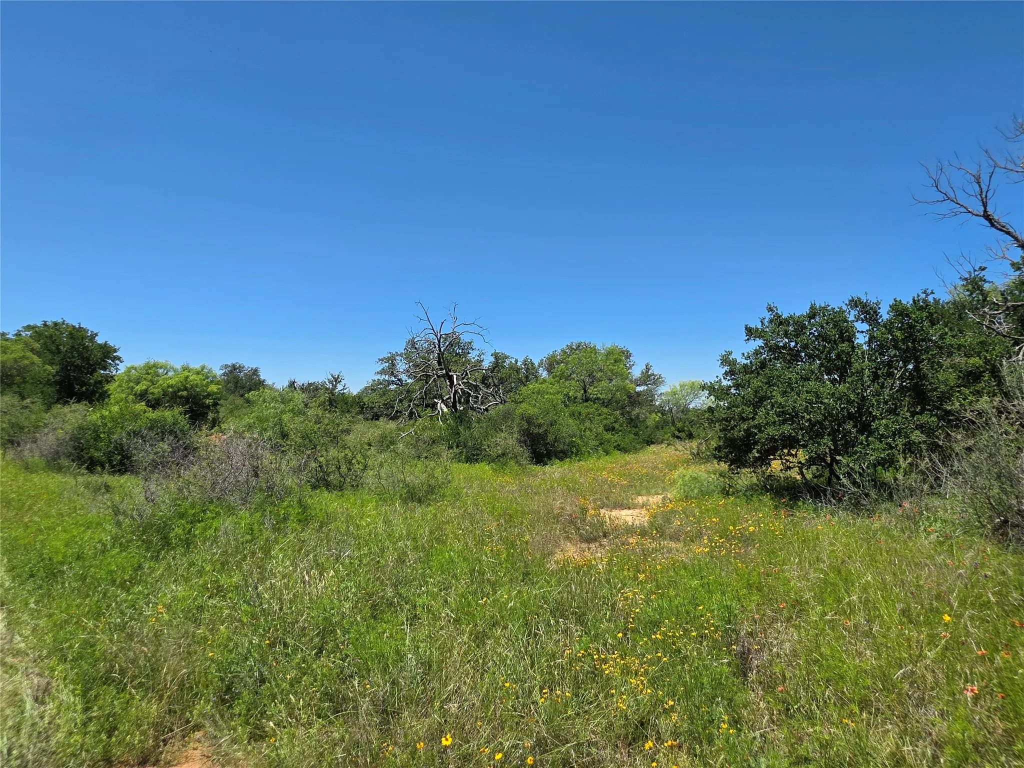 Ranch For Sale in Brown County , 13915 County Road 237, Brownwood, Texas 76801, 0, 0, Garage spaces, 0 Sqft, built in 1993, mls#21273387, Real Estate Agent in Brownwood, Homes For Sale in Brown county, Homes For Sale in Brownwood, Realtor in Brownwood Texas, Real Estate Brokerage Independent Realty Texas, Luminita Cordes Realtor